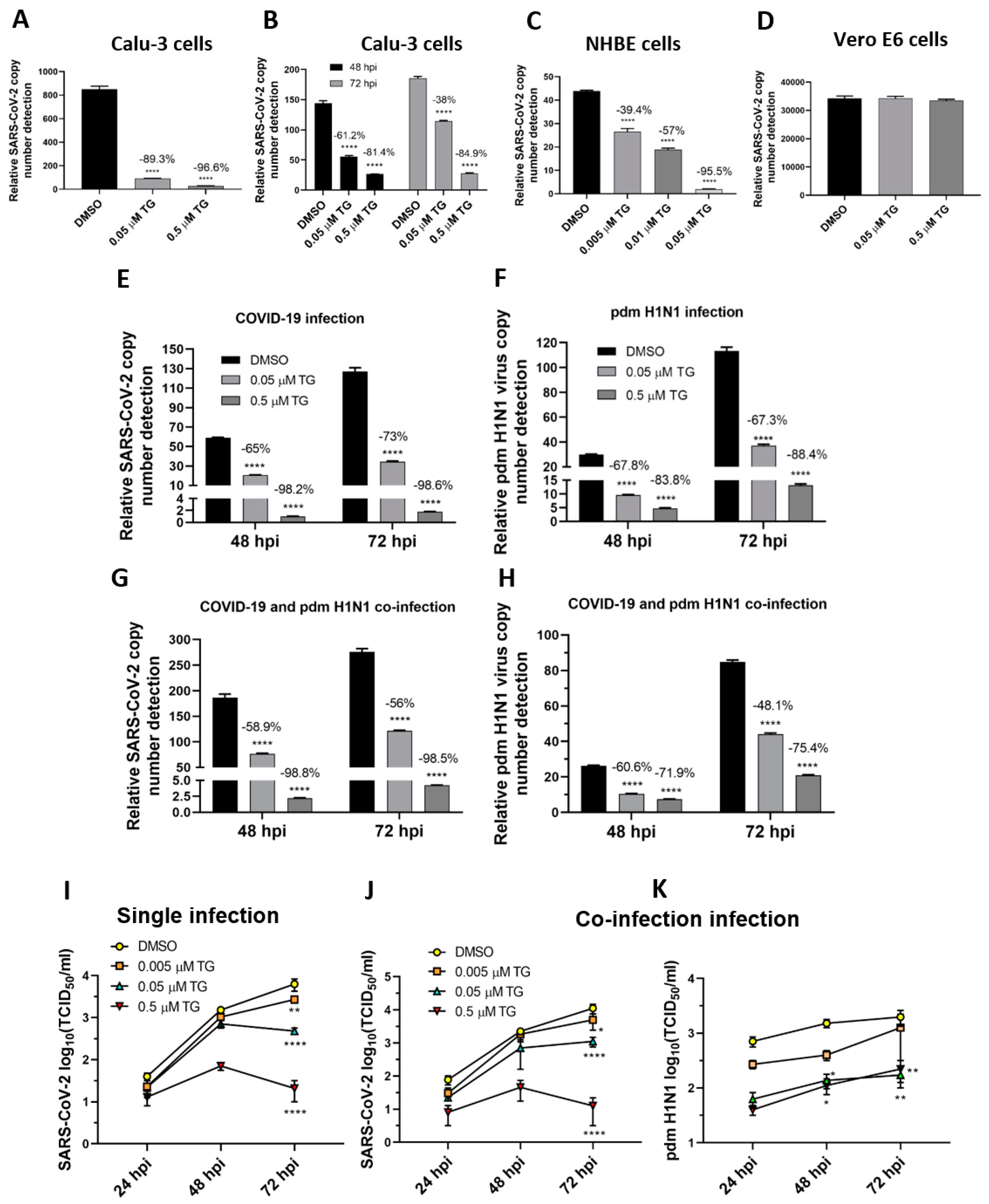 Viruses 13 00234 g006