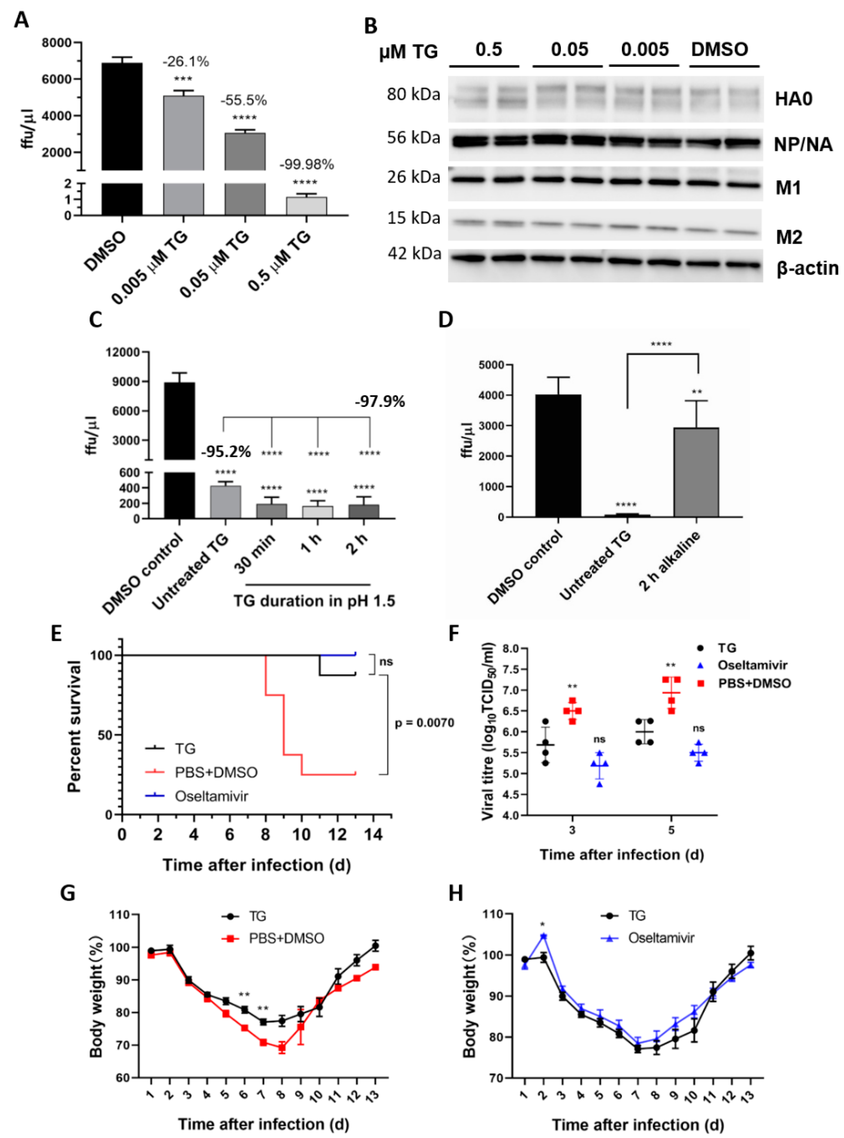 Viruses 13 00234 g007