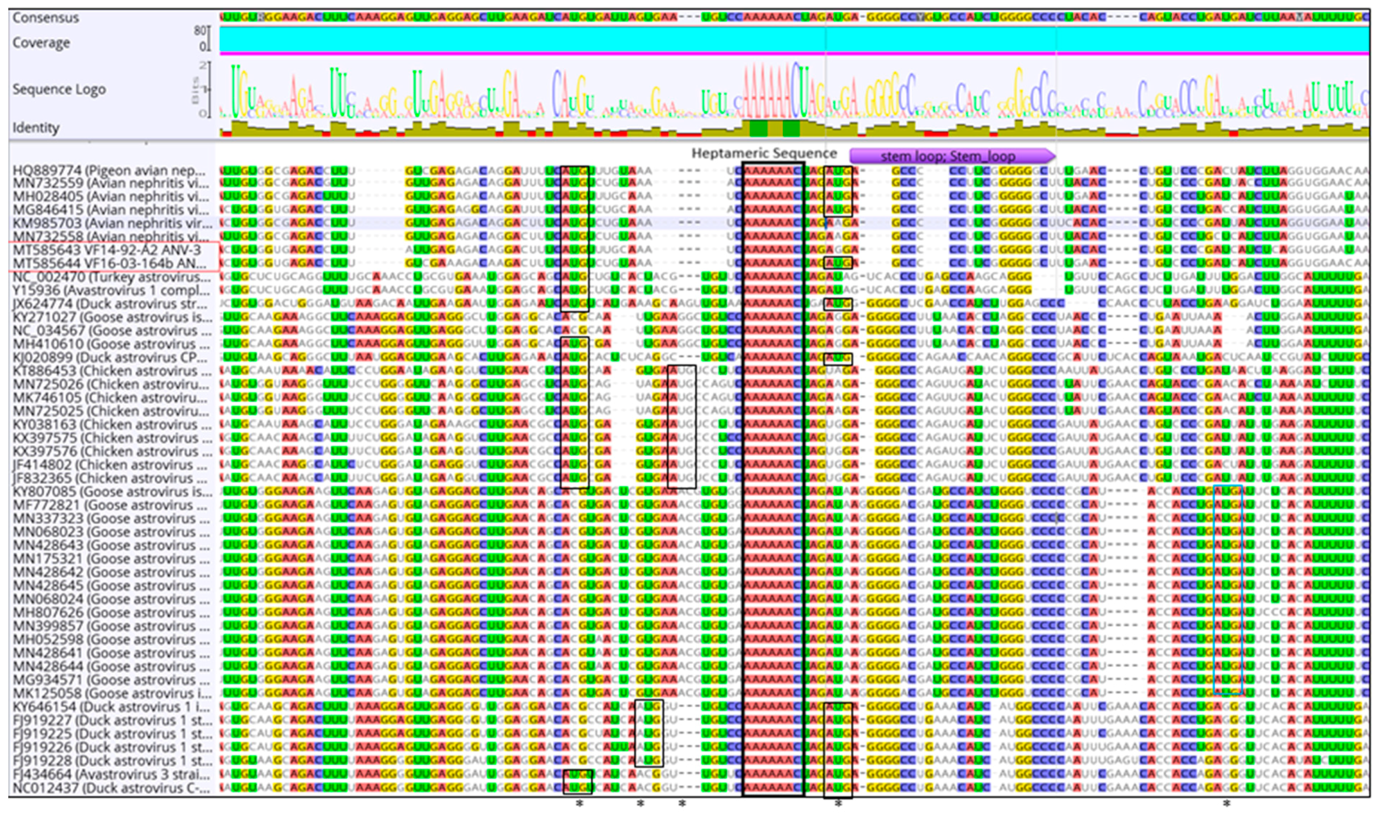 Viruses 13 00235 g002 Viruses 13 00235 g002