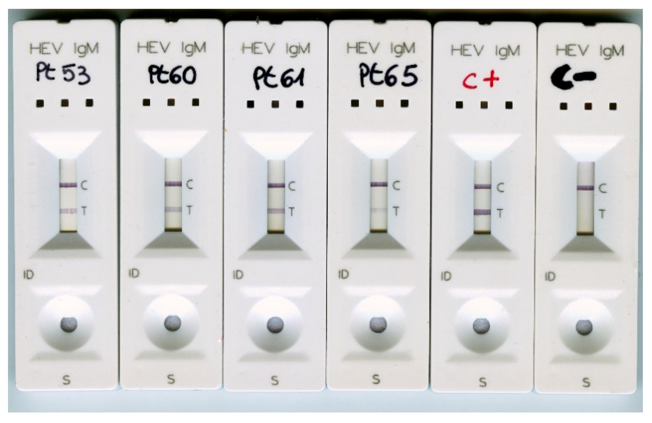 Viruses 13 00236 g004