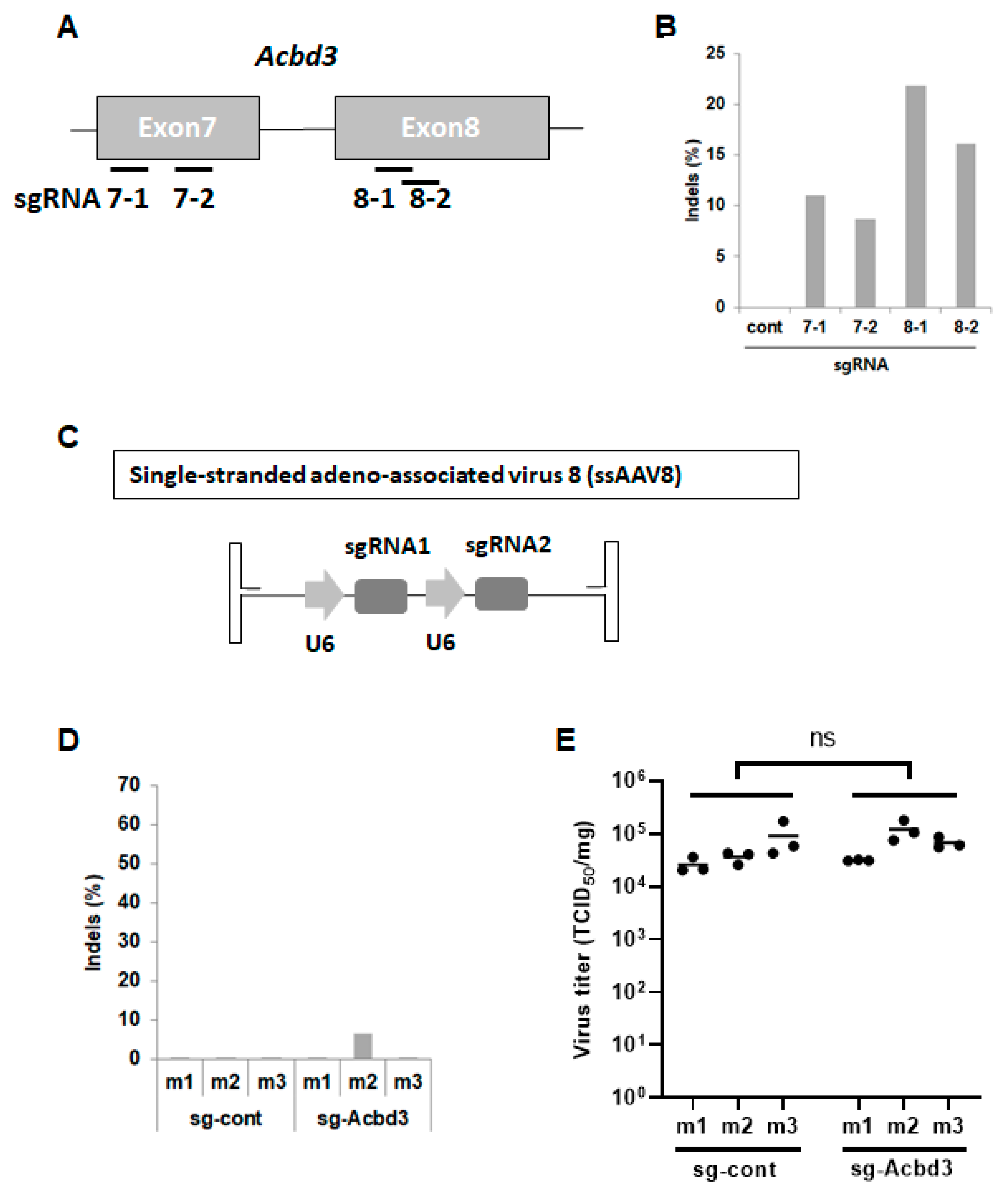 Viruses 13 00237 g001