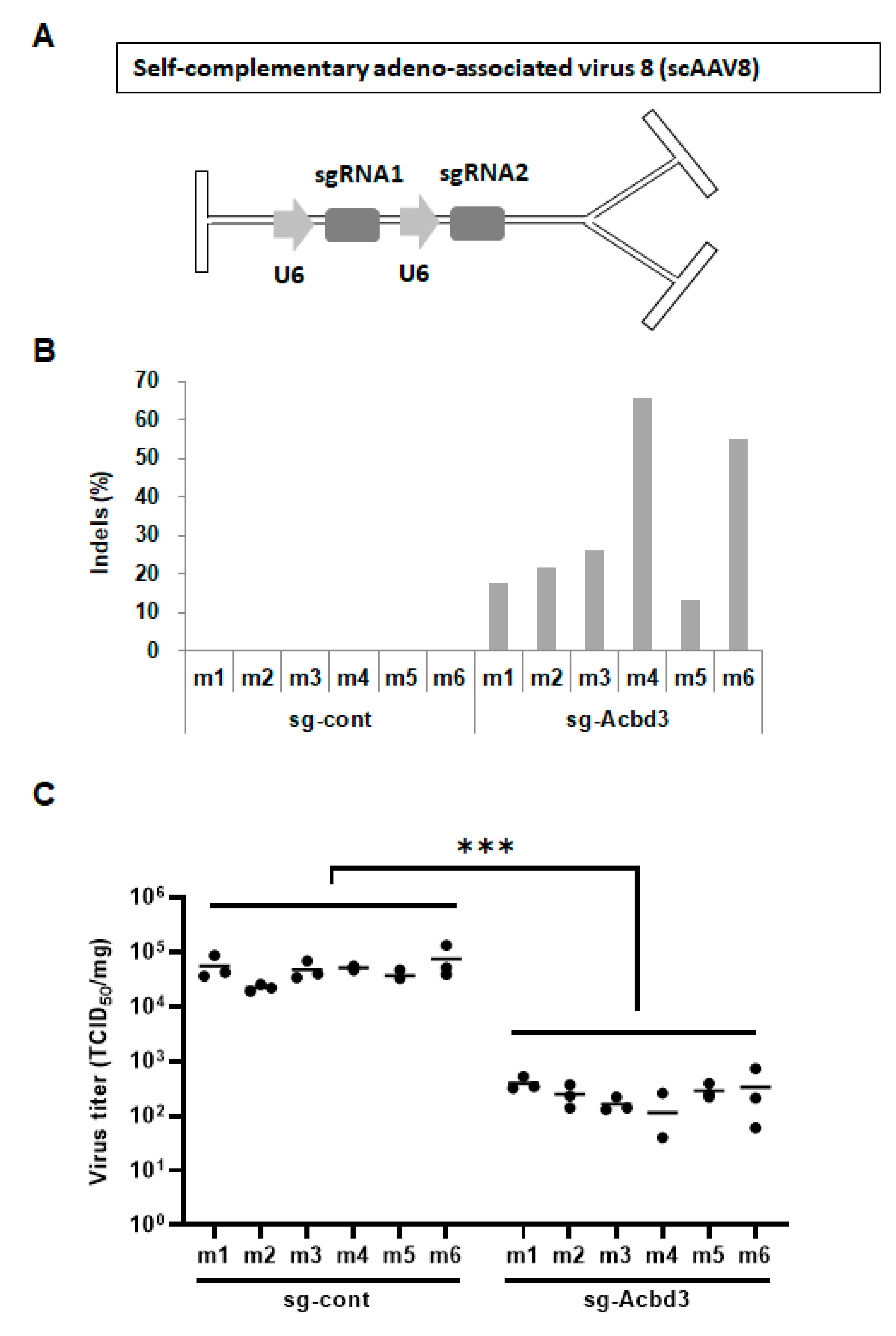 Viruses 13 00237 g002