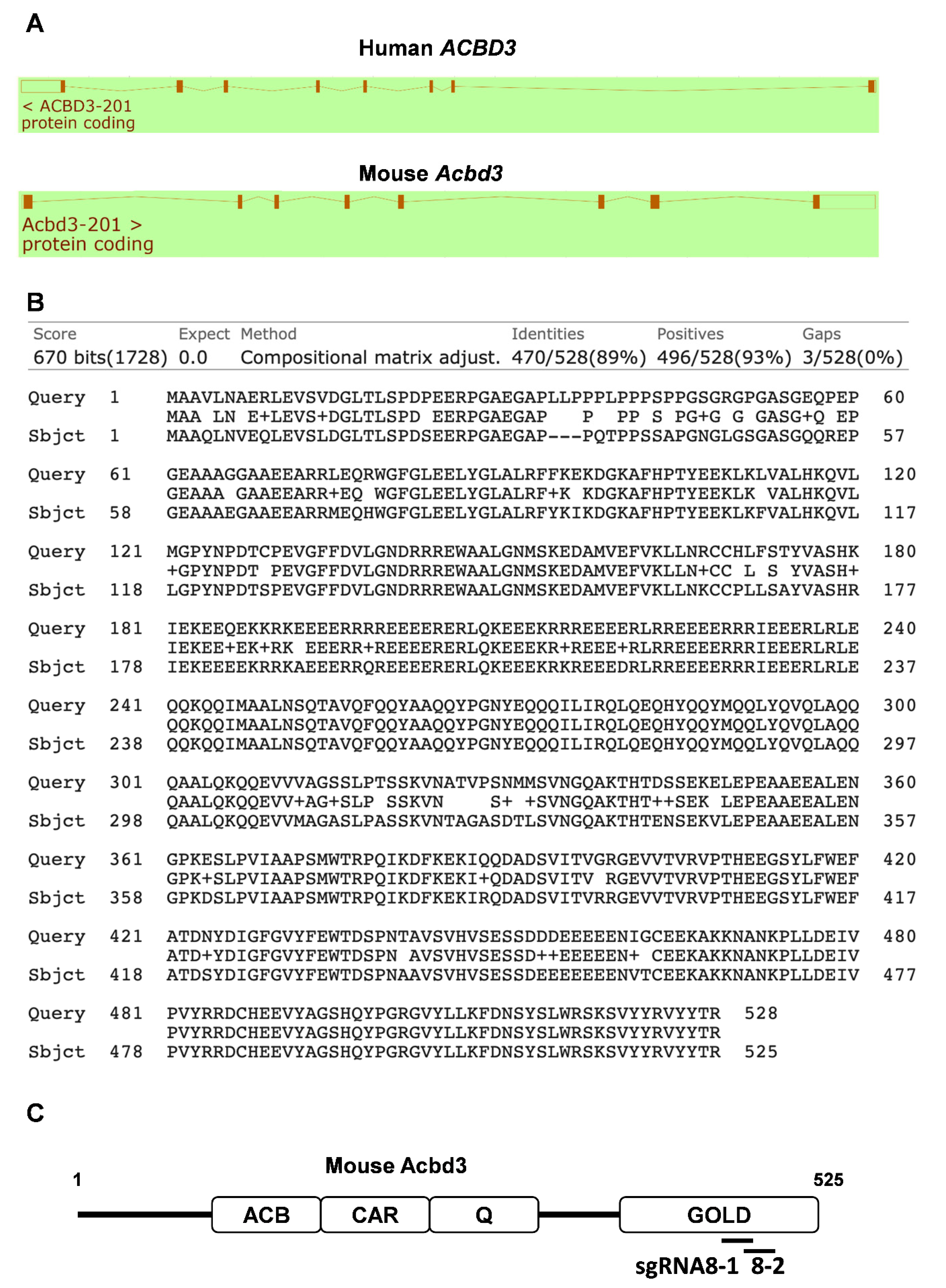 Viruses 13 00237 g005