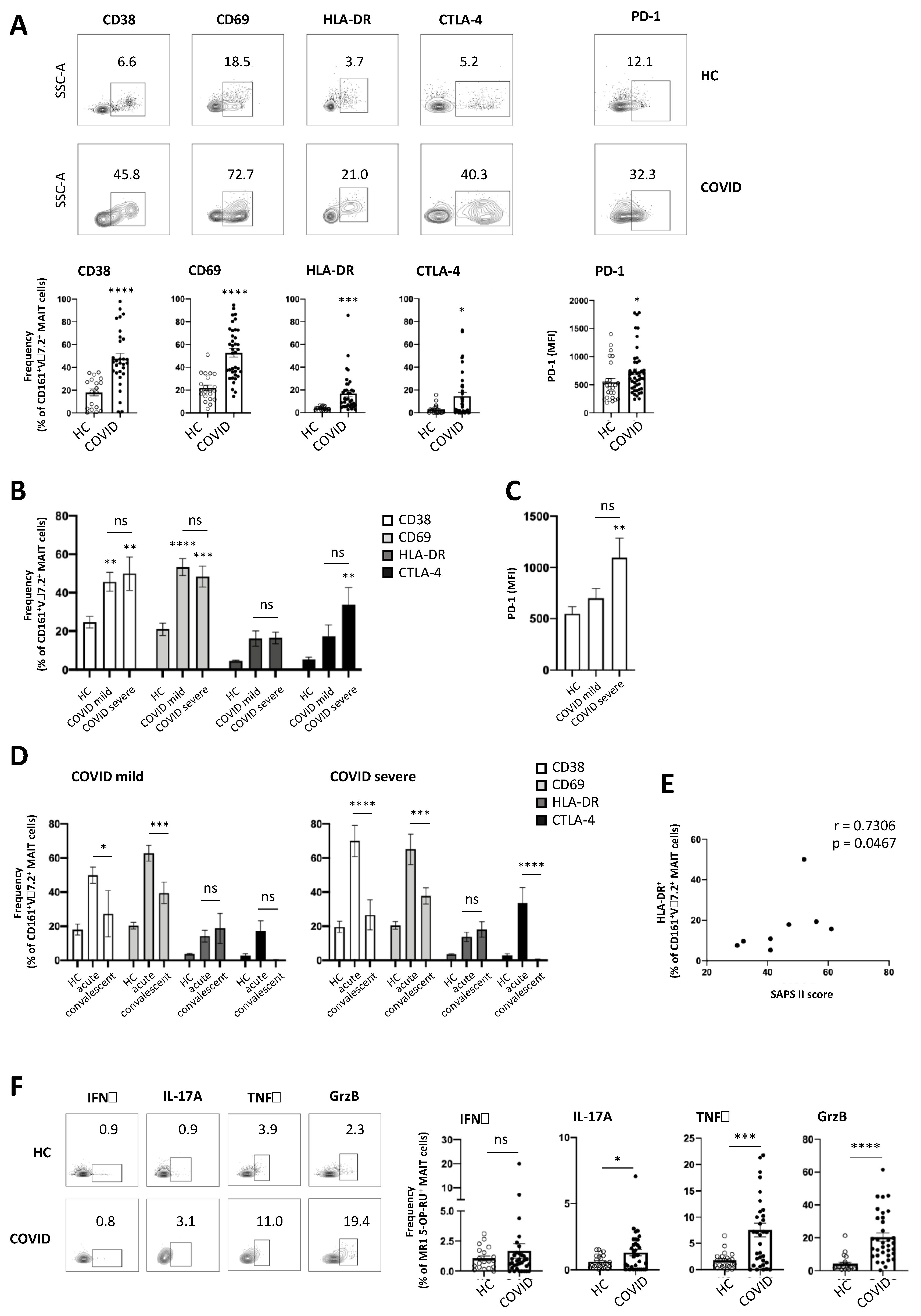 Viruses 13 00241 g003 Viruses 13 00241 g003