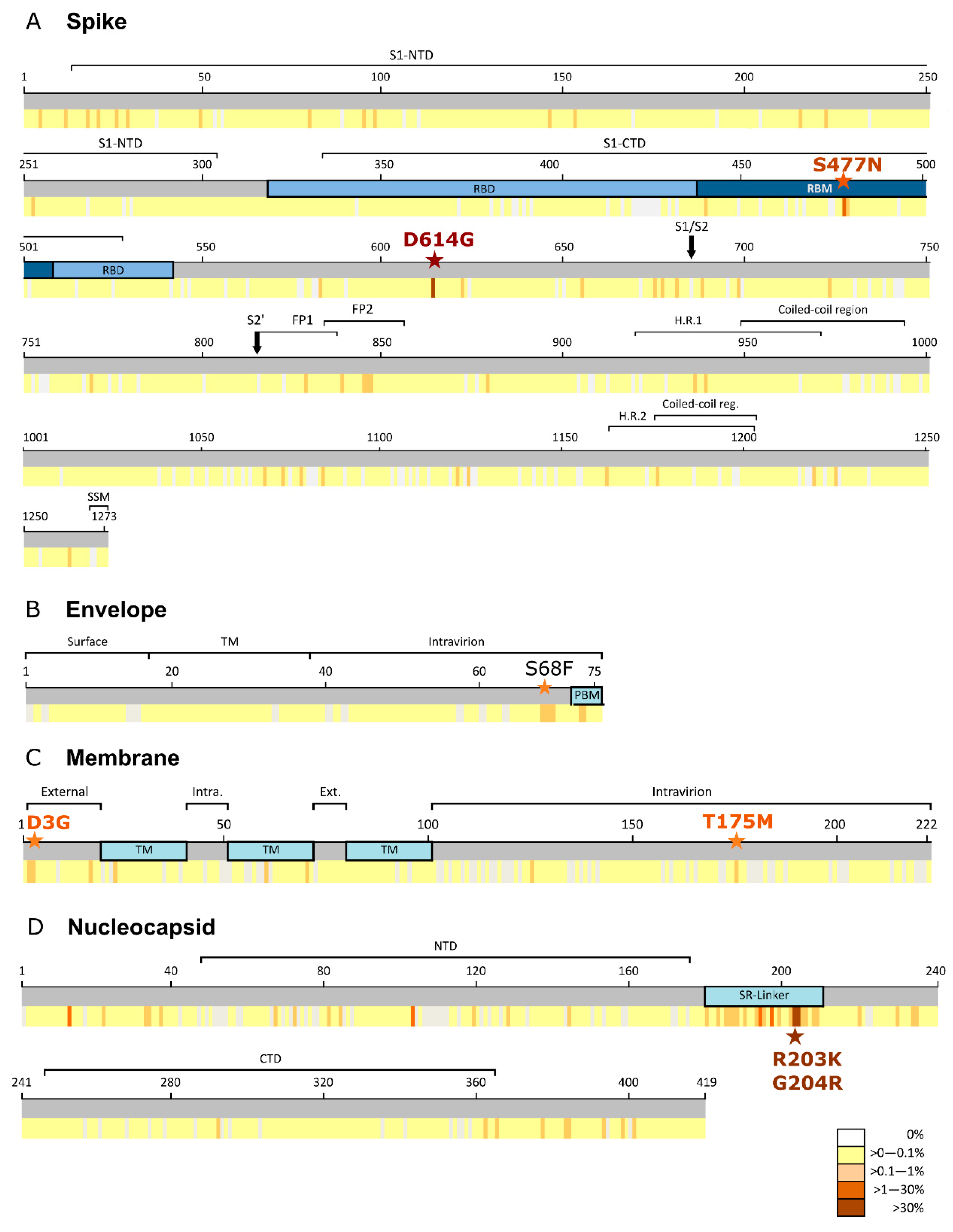 Viruses 13 00243 g001