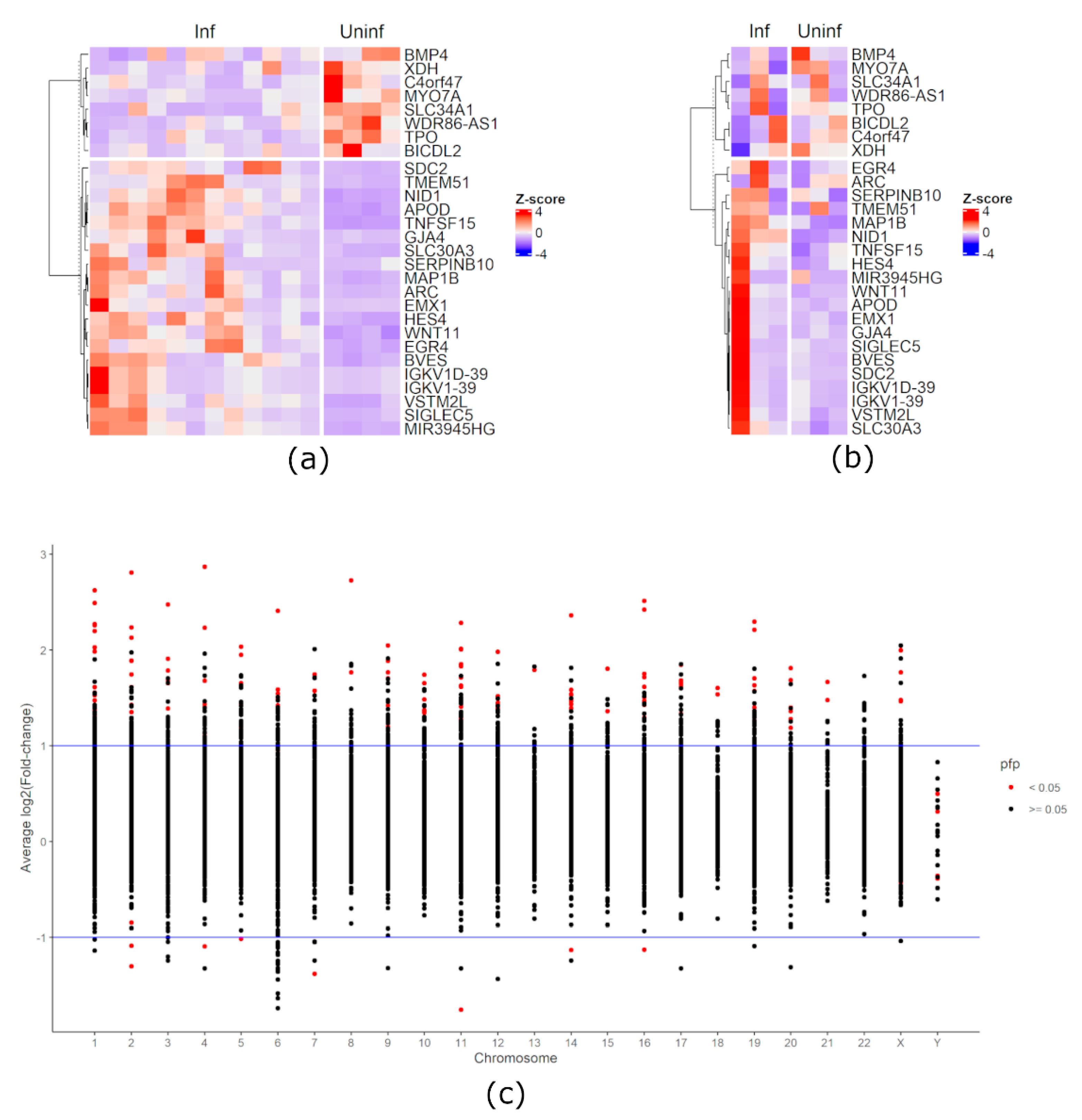 Viruses 13 00244 g001