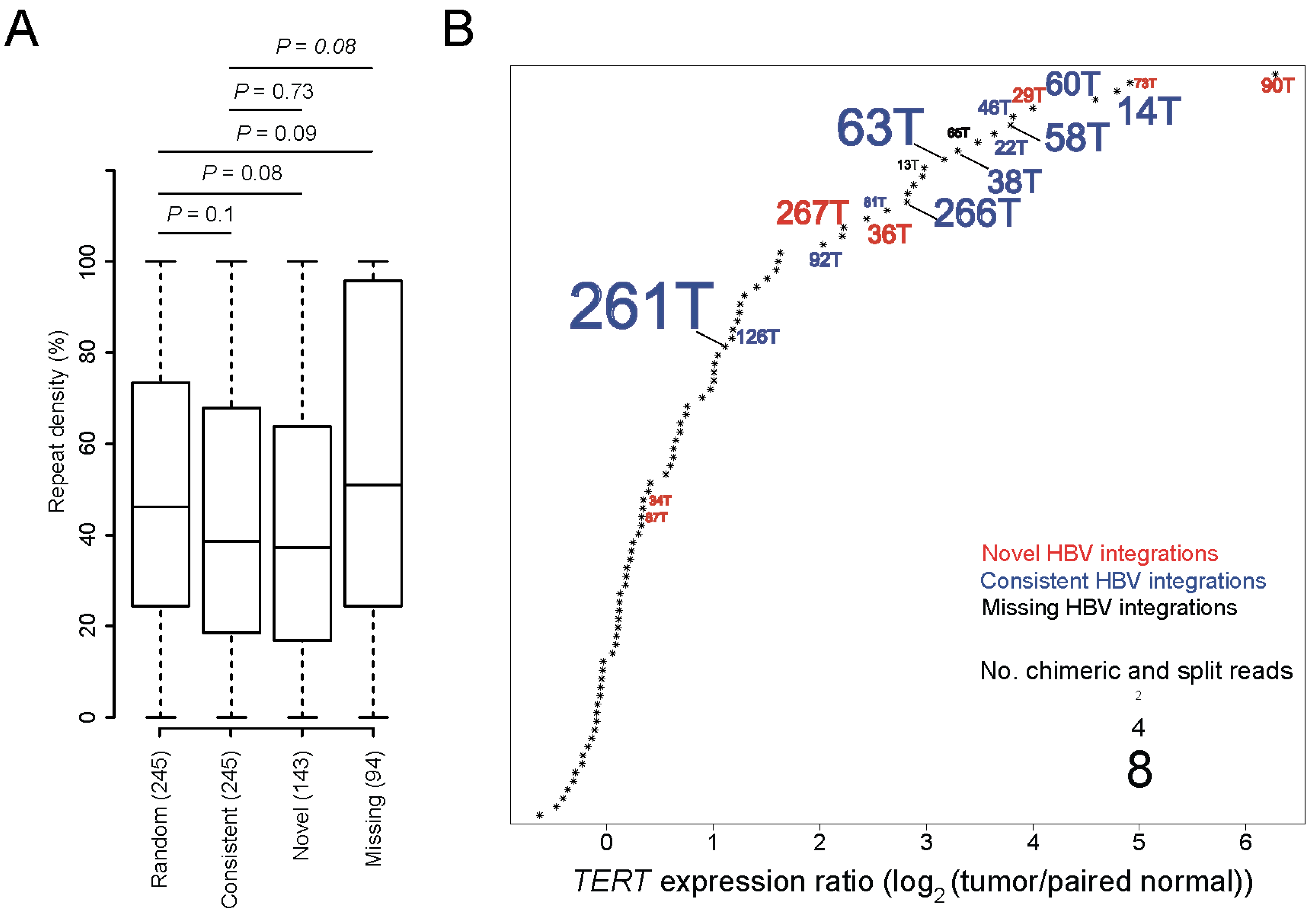 Viruses 13 00245 g001
