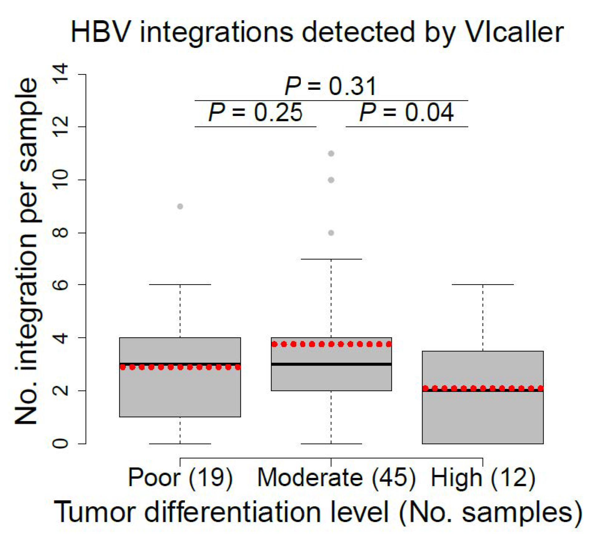 Viruses 13 00245 g004