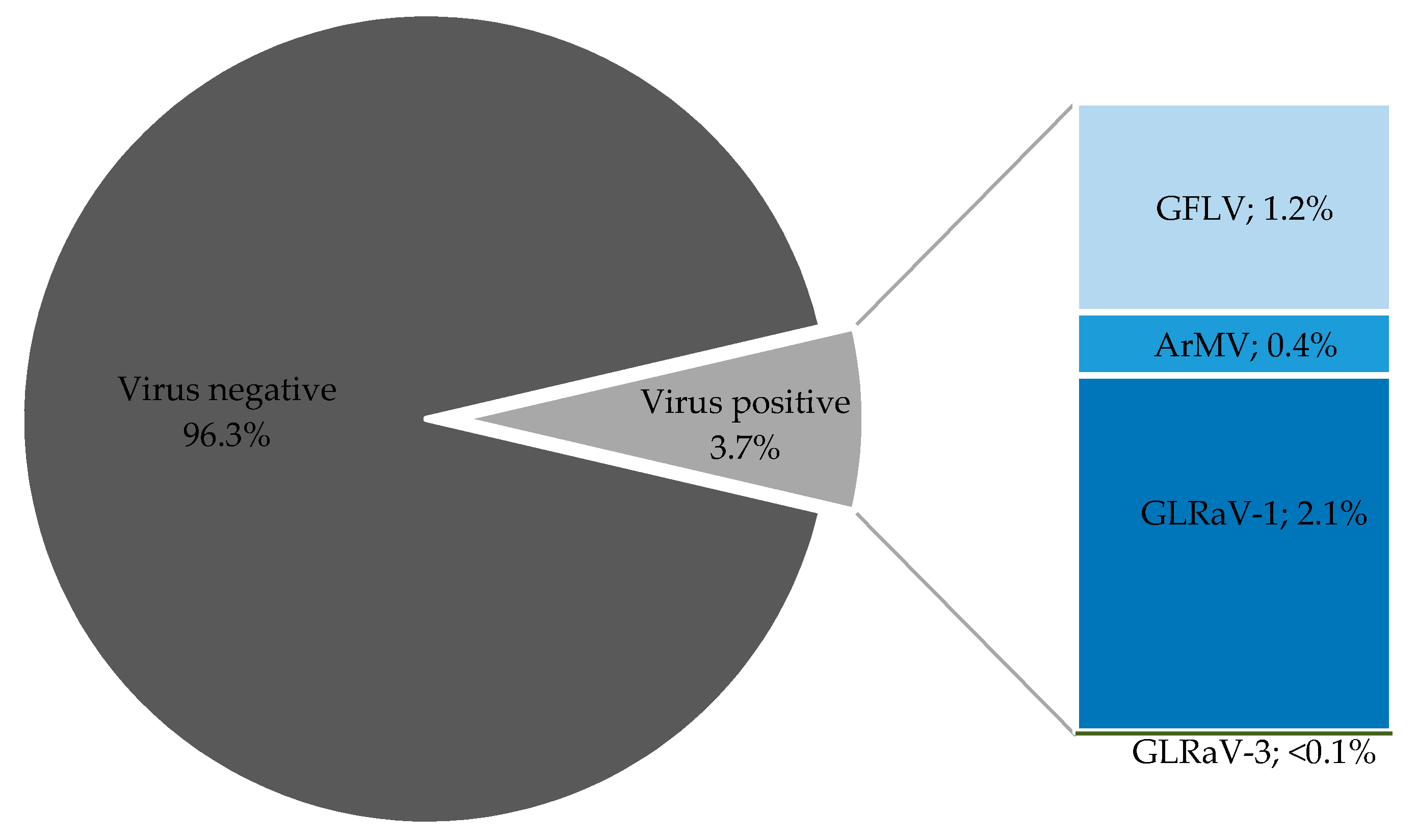 Viruses 13 00248 g001