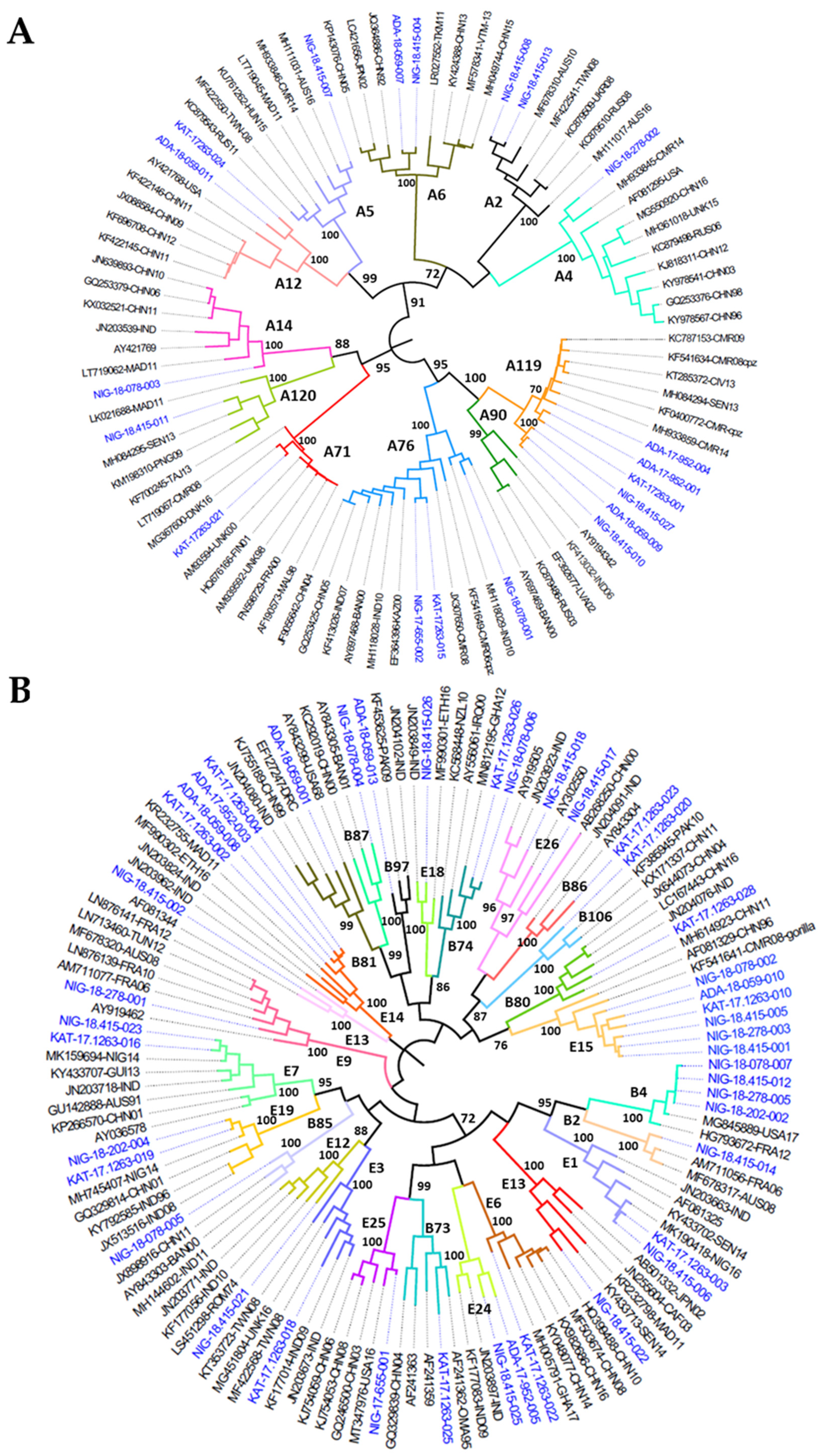 Viruses 13 00249 g003a