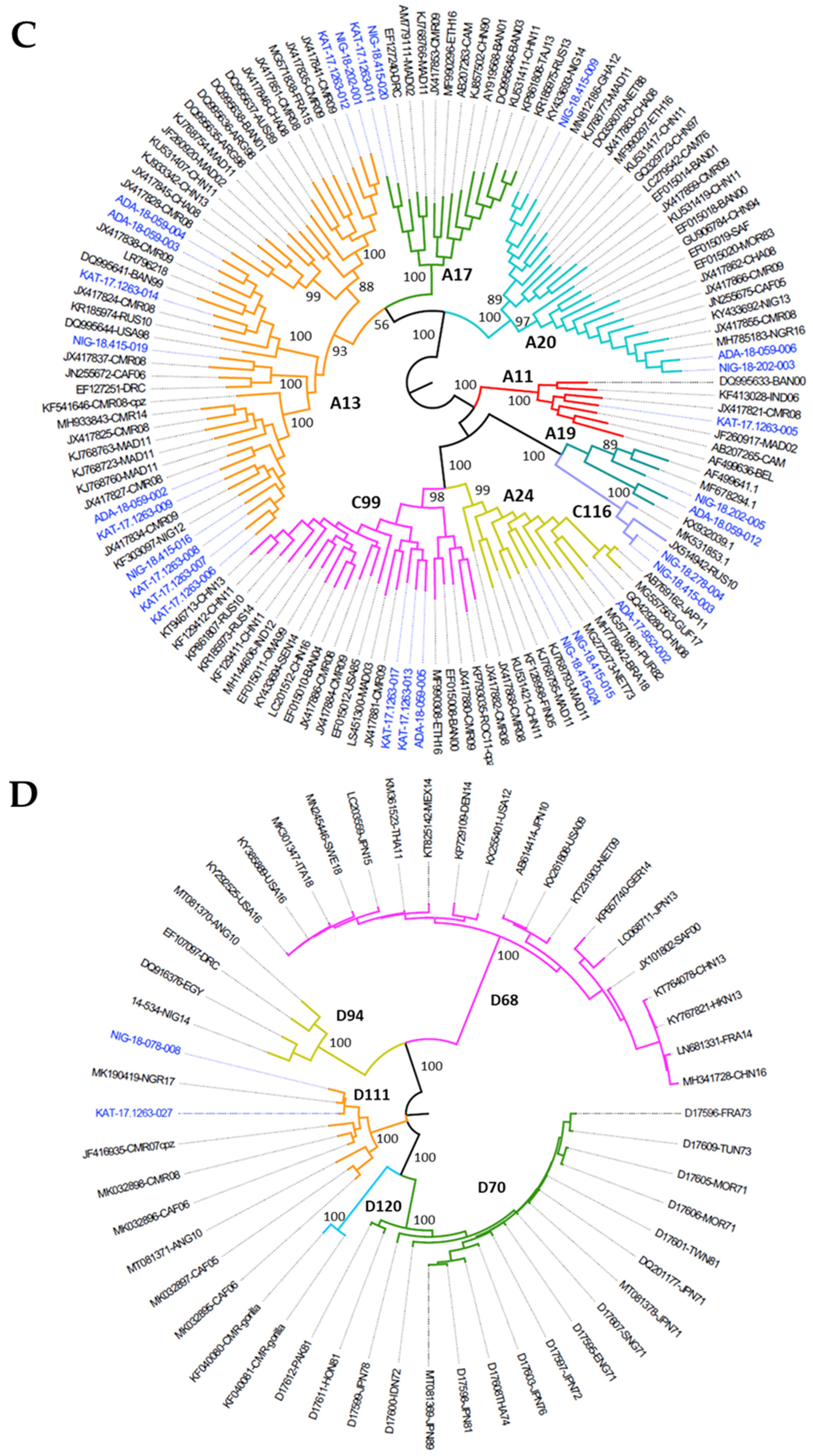Viruses 13 00249 g003b