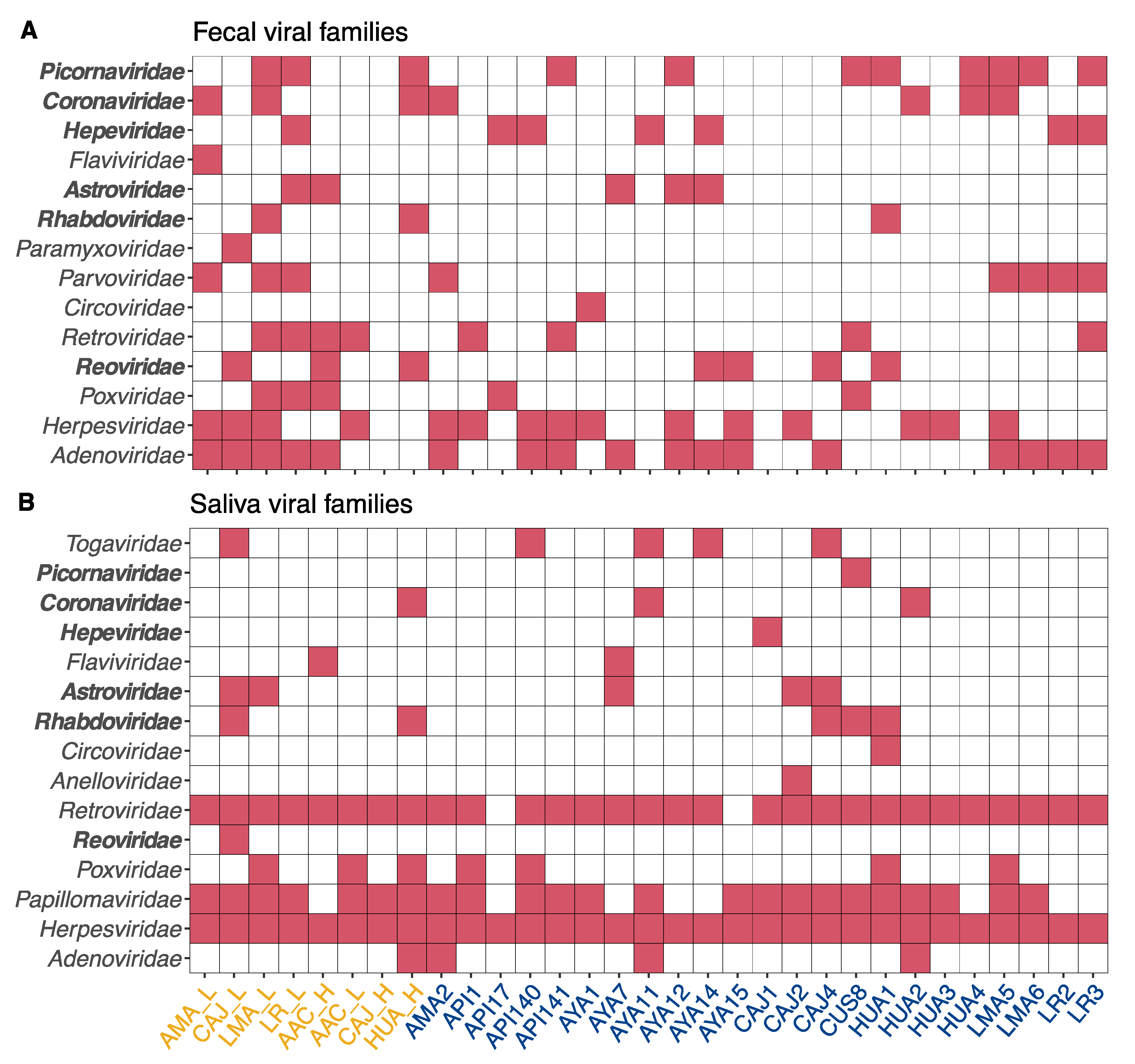 Viruses 13 00252 g001
