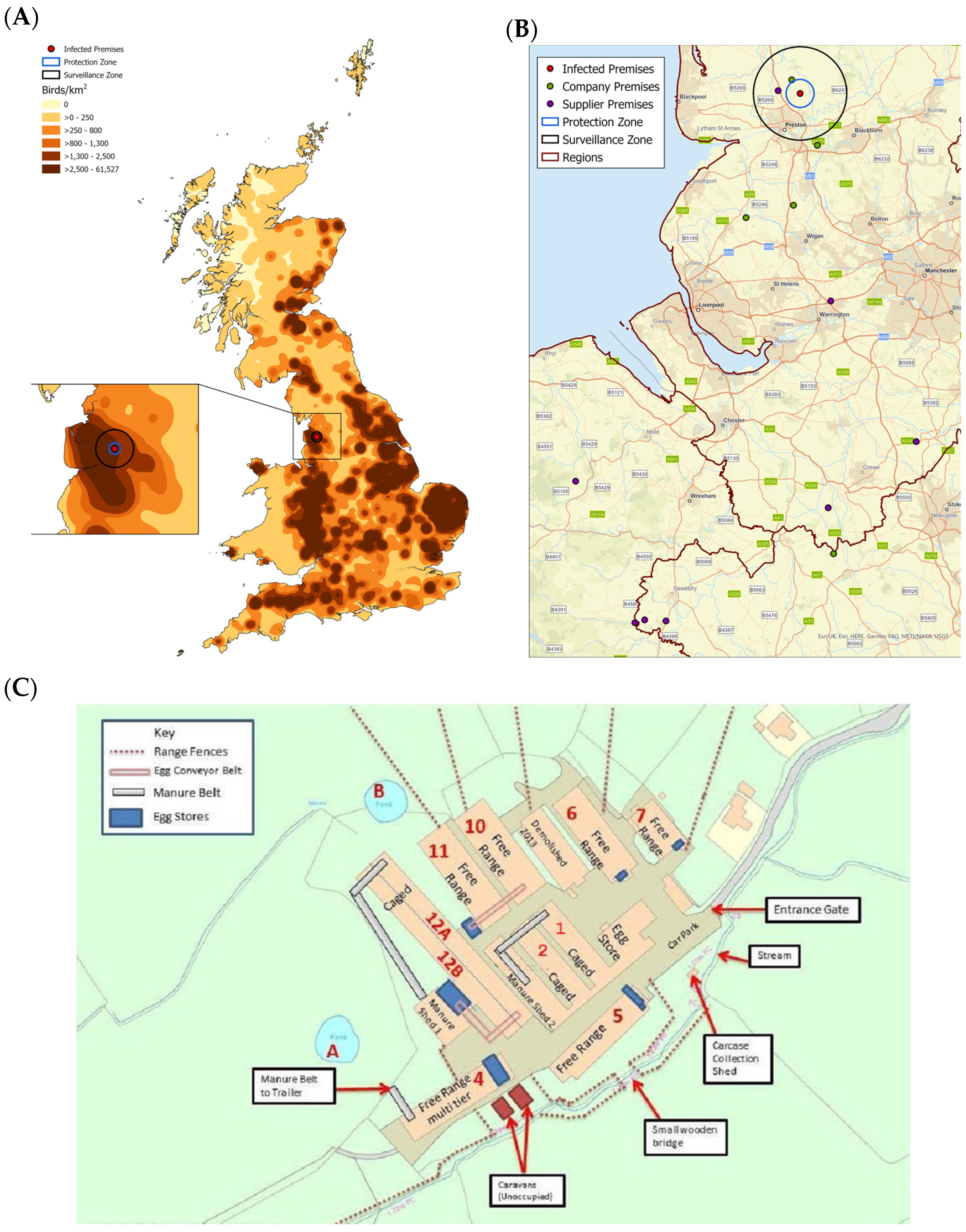 Viruses 13 00259 g001 Viruses 13 00259 g001