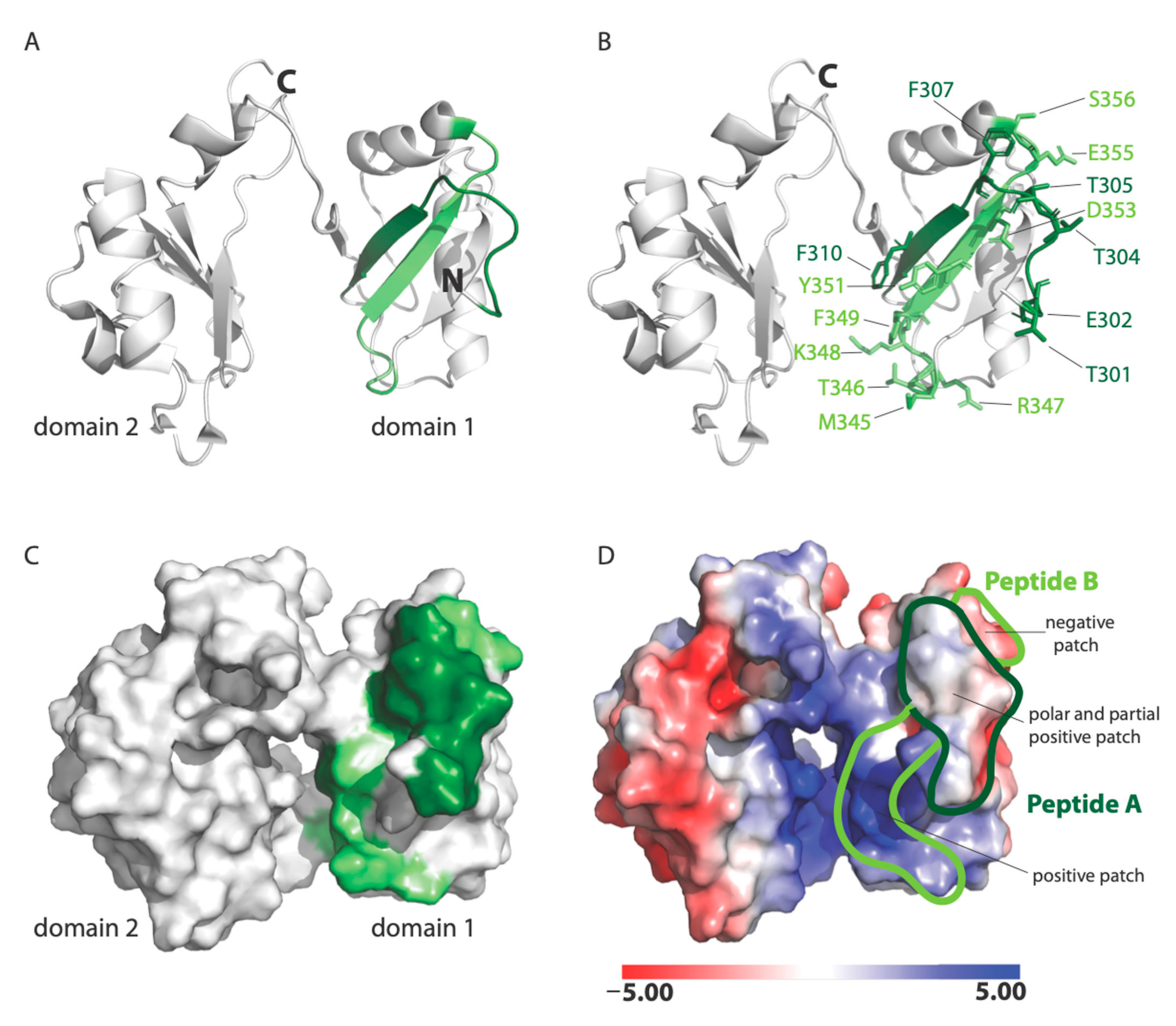 Viruses 13 00261 g007 Viruses 13 00261 g007