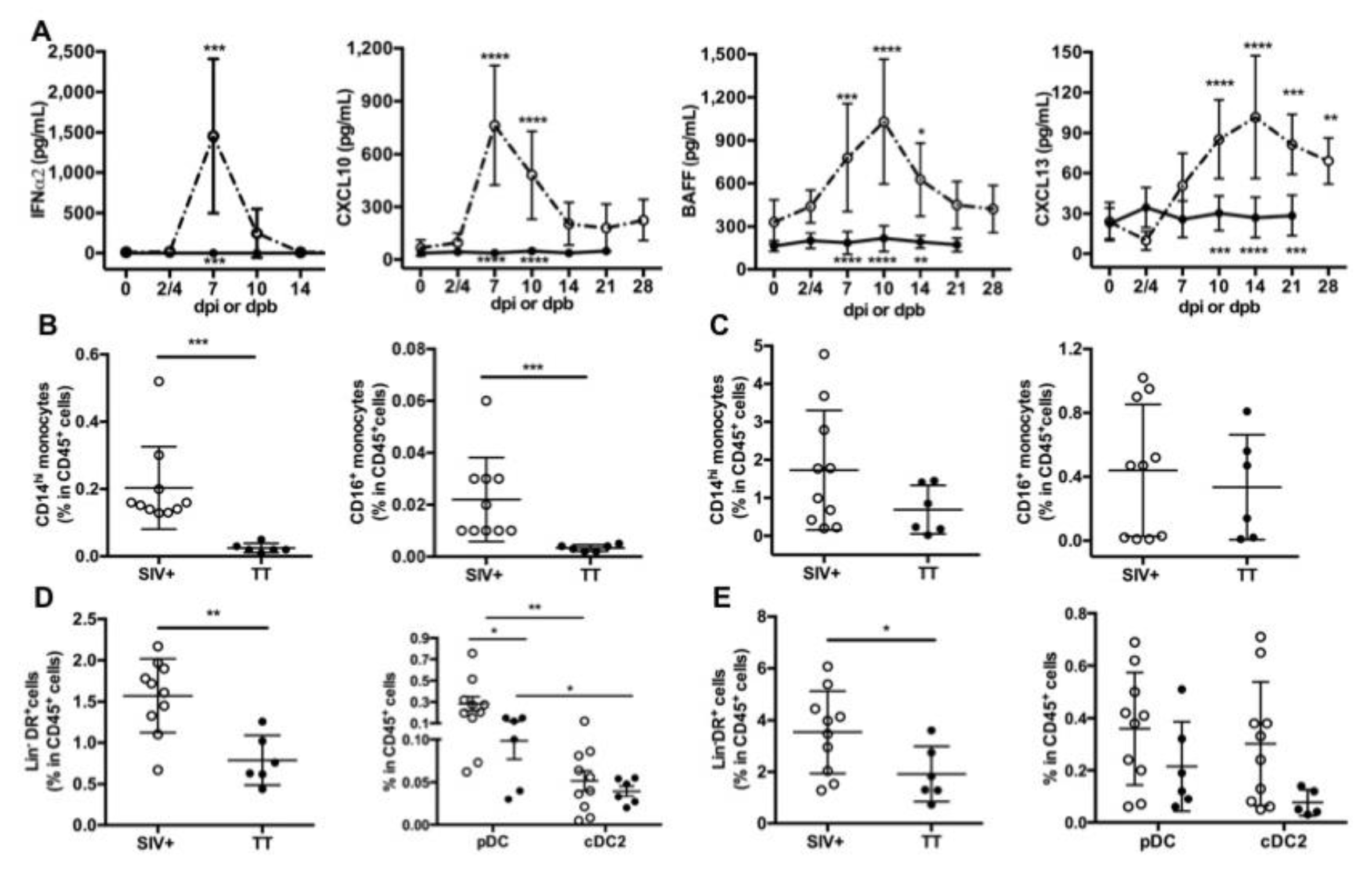 Viruses 13 00263 g002