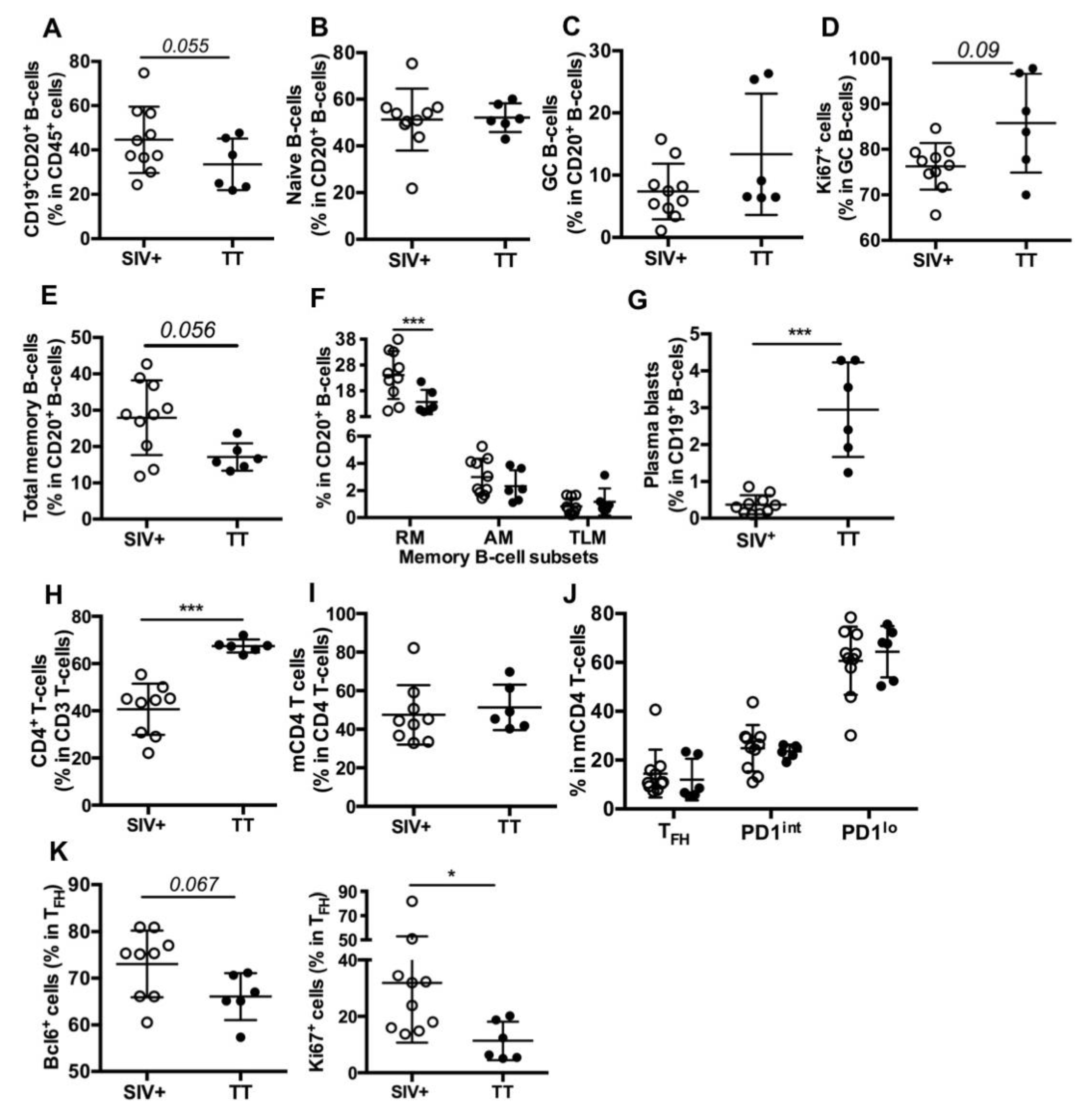 Viruses 13 00263 g003