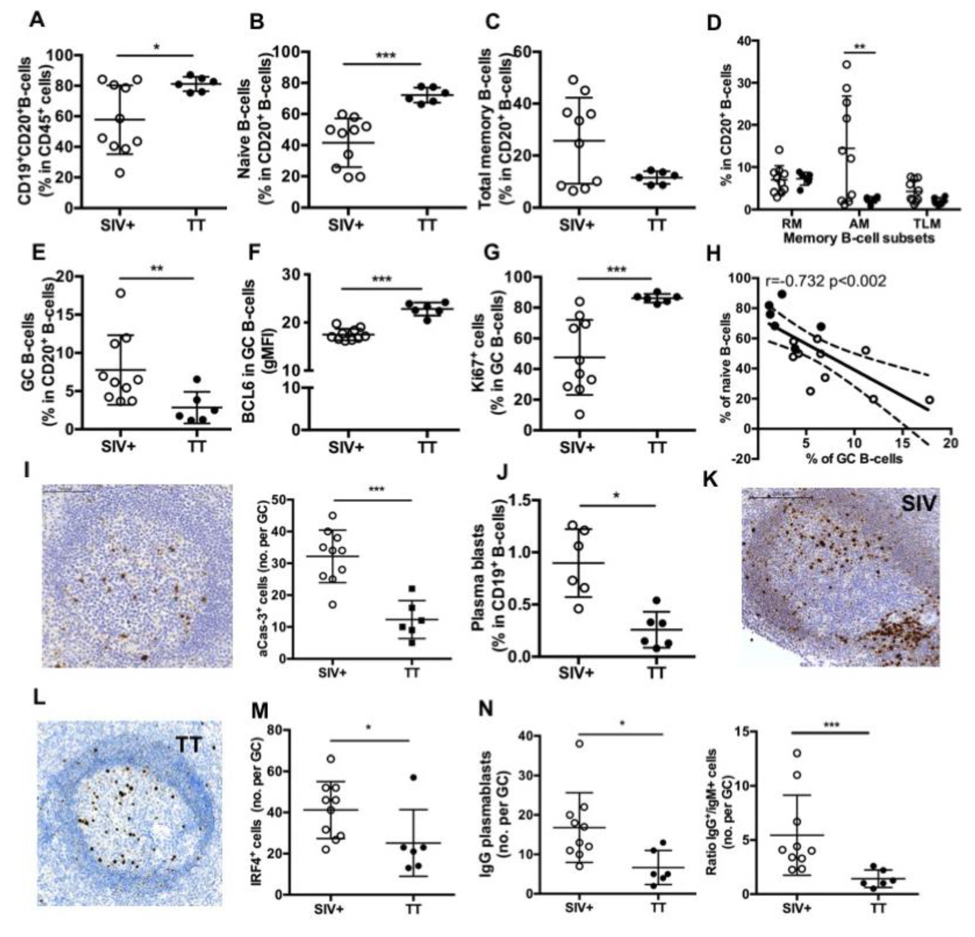 Viruses 13 00263 g004