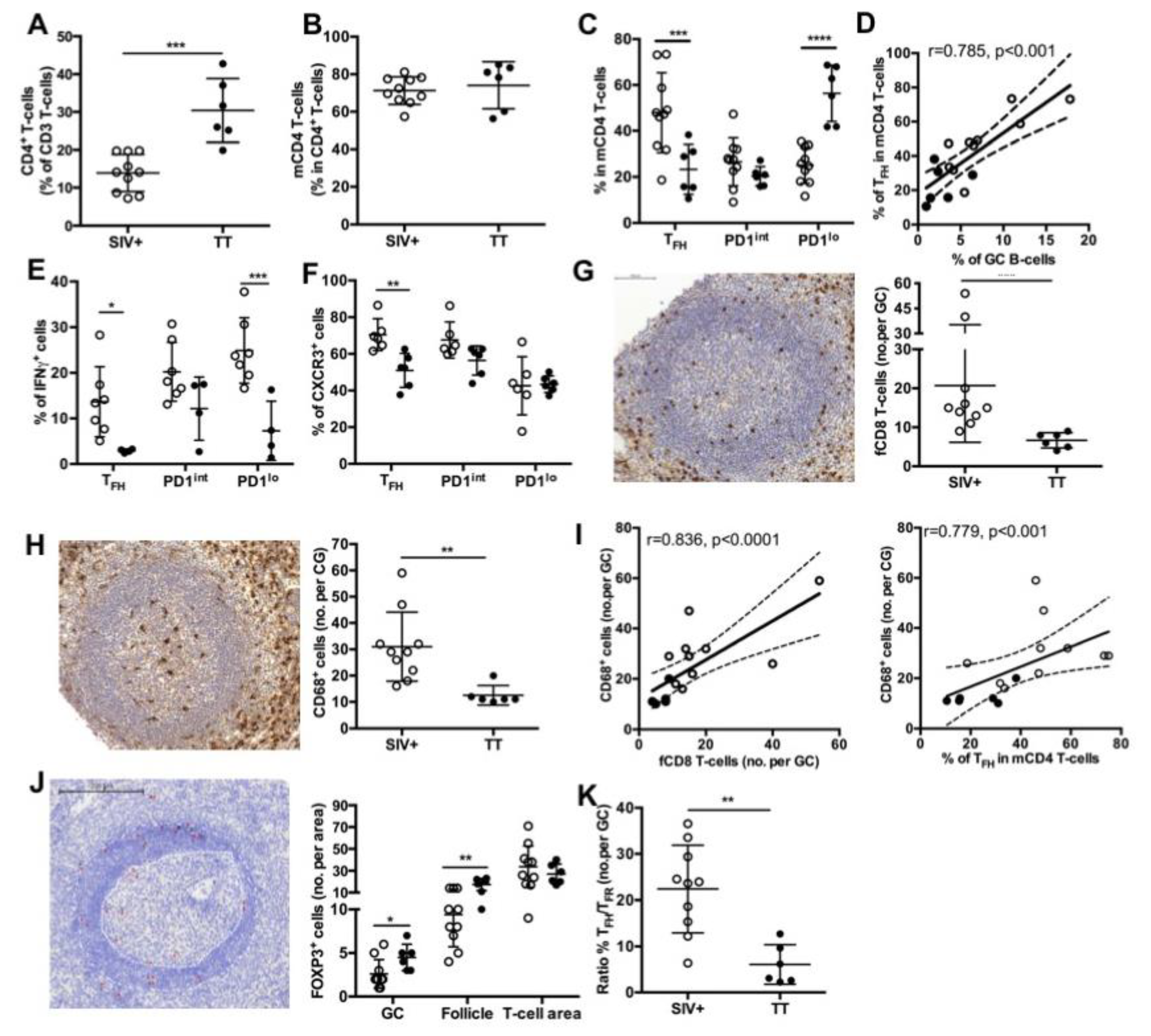 Viruses 13 00263 g005