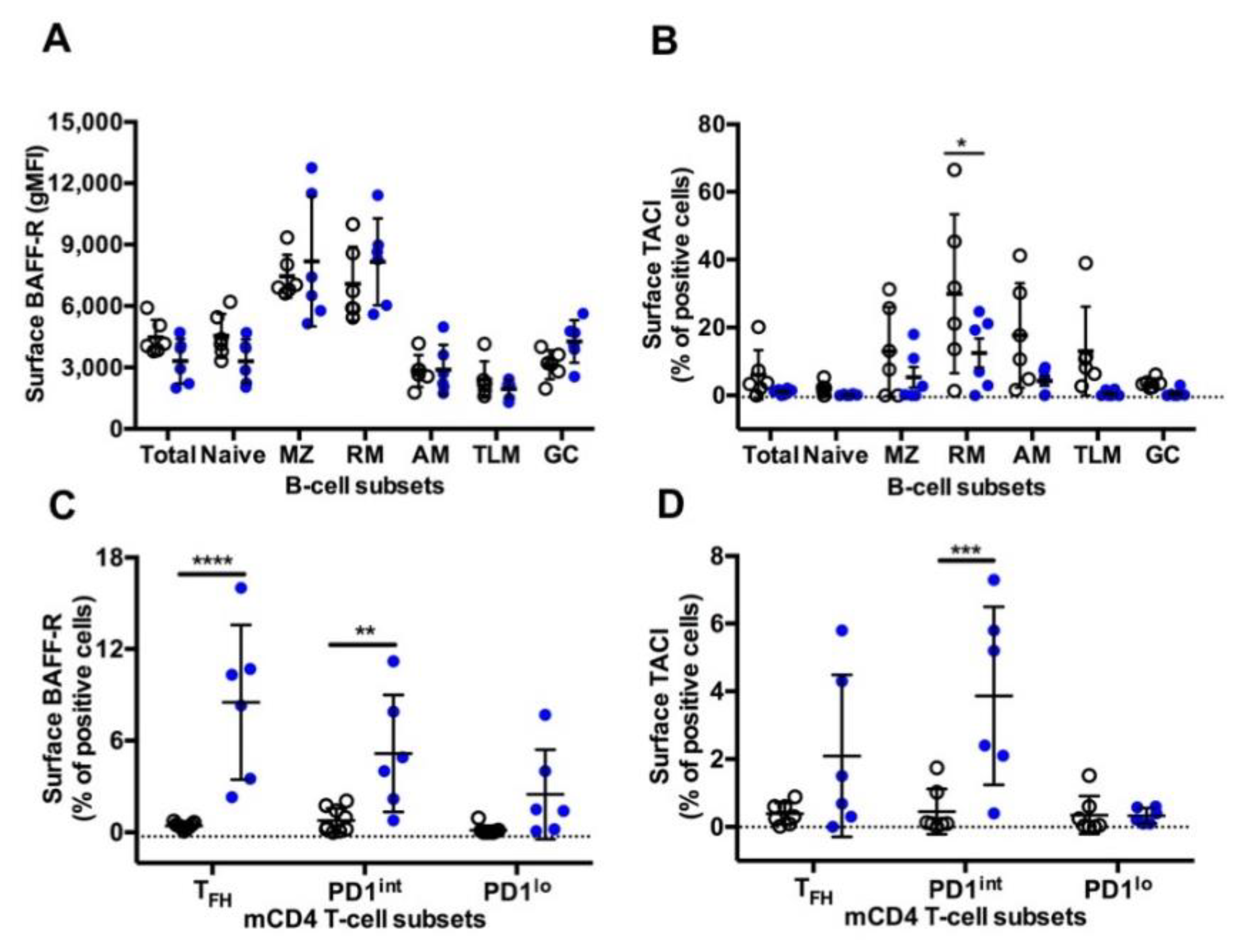 Viruses 13 00263 g006
