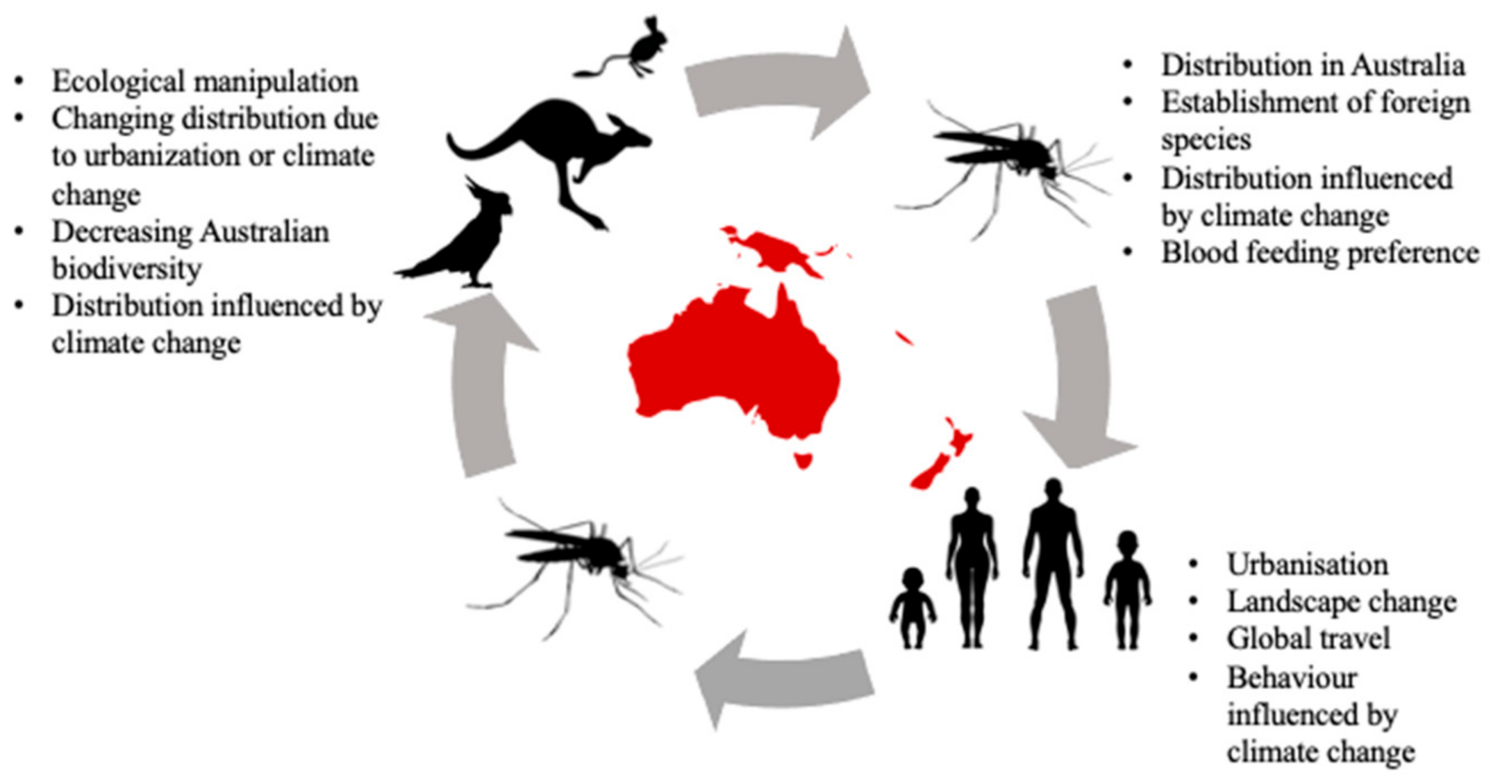 Viruses 13 00265 g001 Viruses 13 00265 g001
