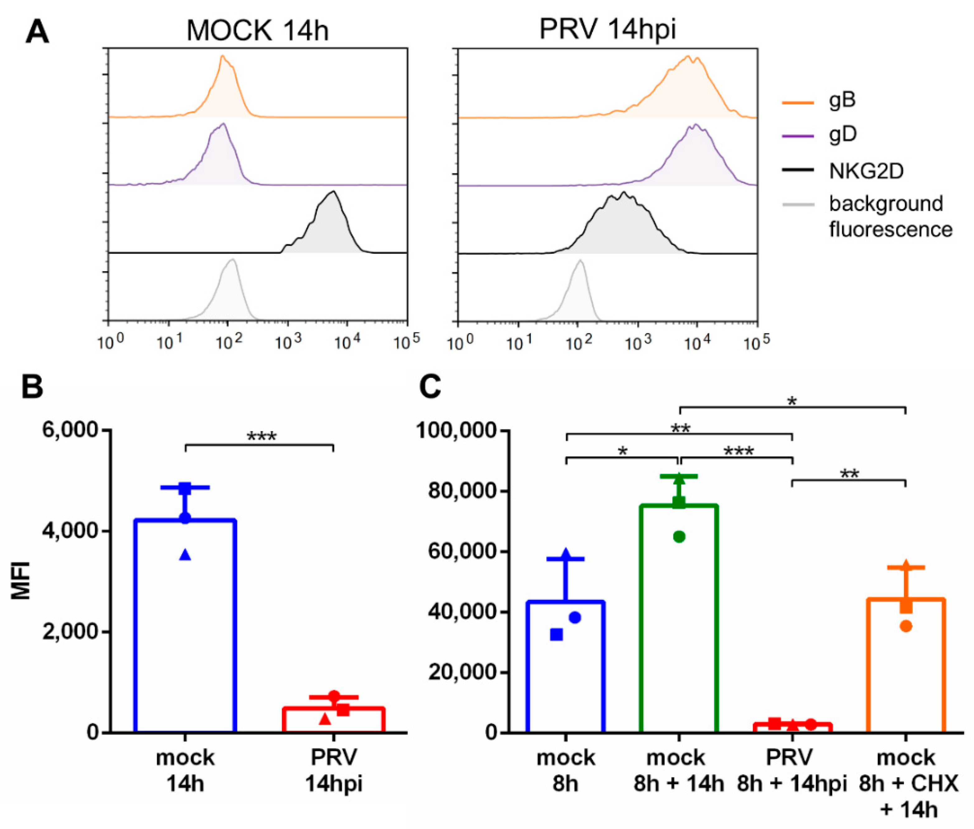 Viruses 13 00266 g001