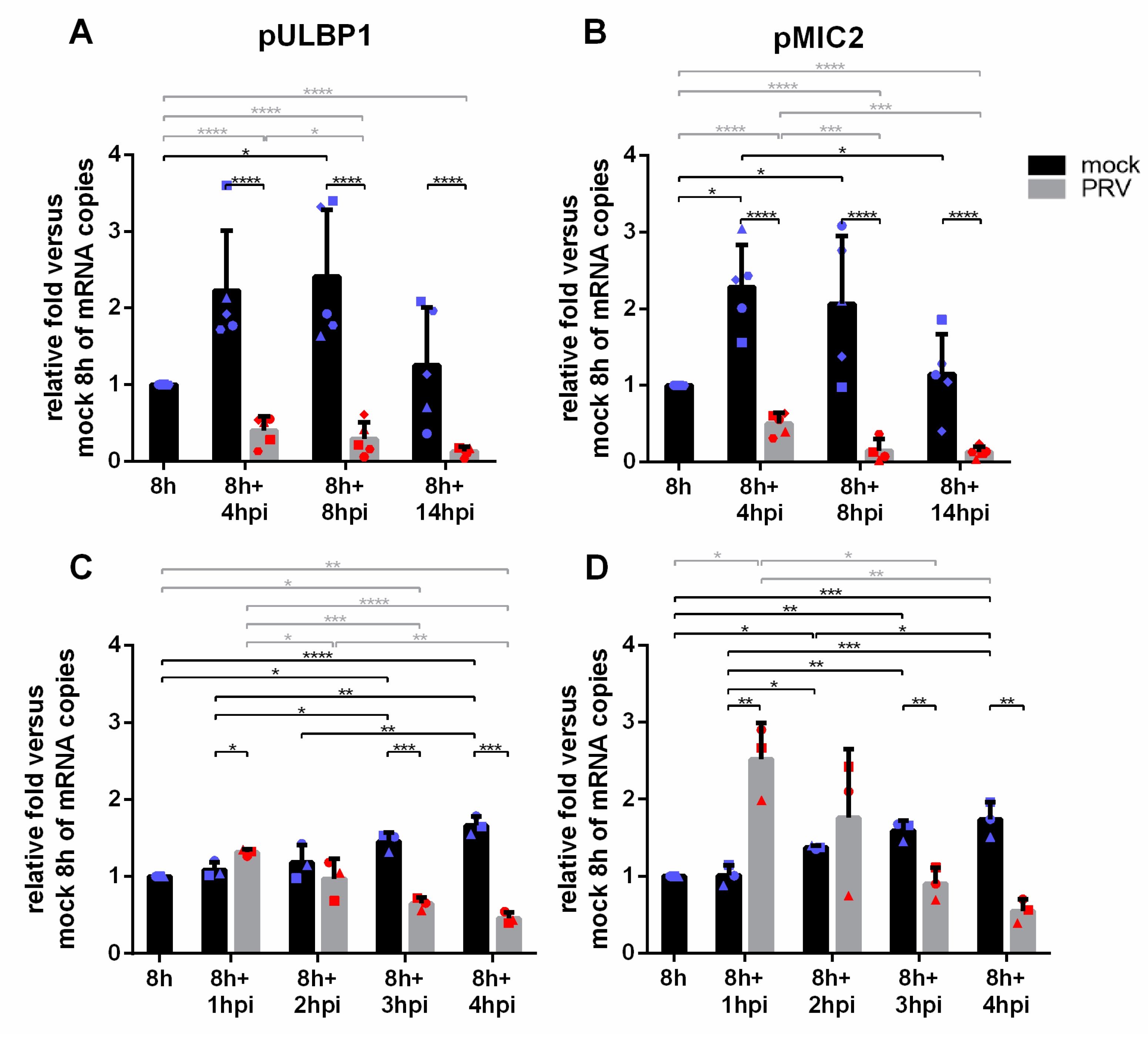 Viruses 13 00266 g005