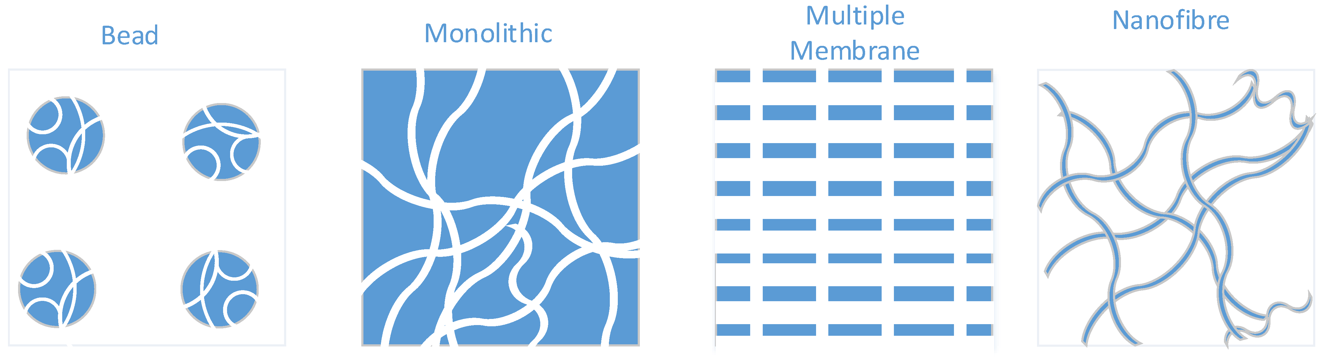 Viruses 13 00268 g001