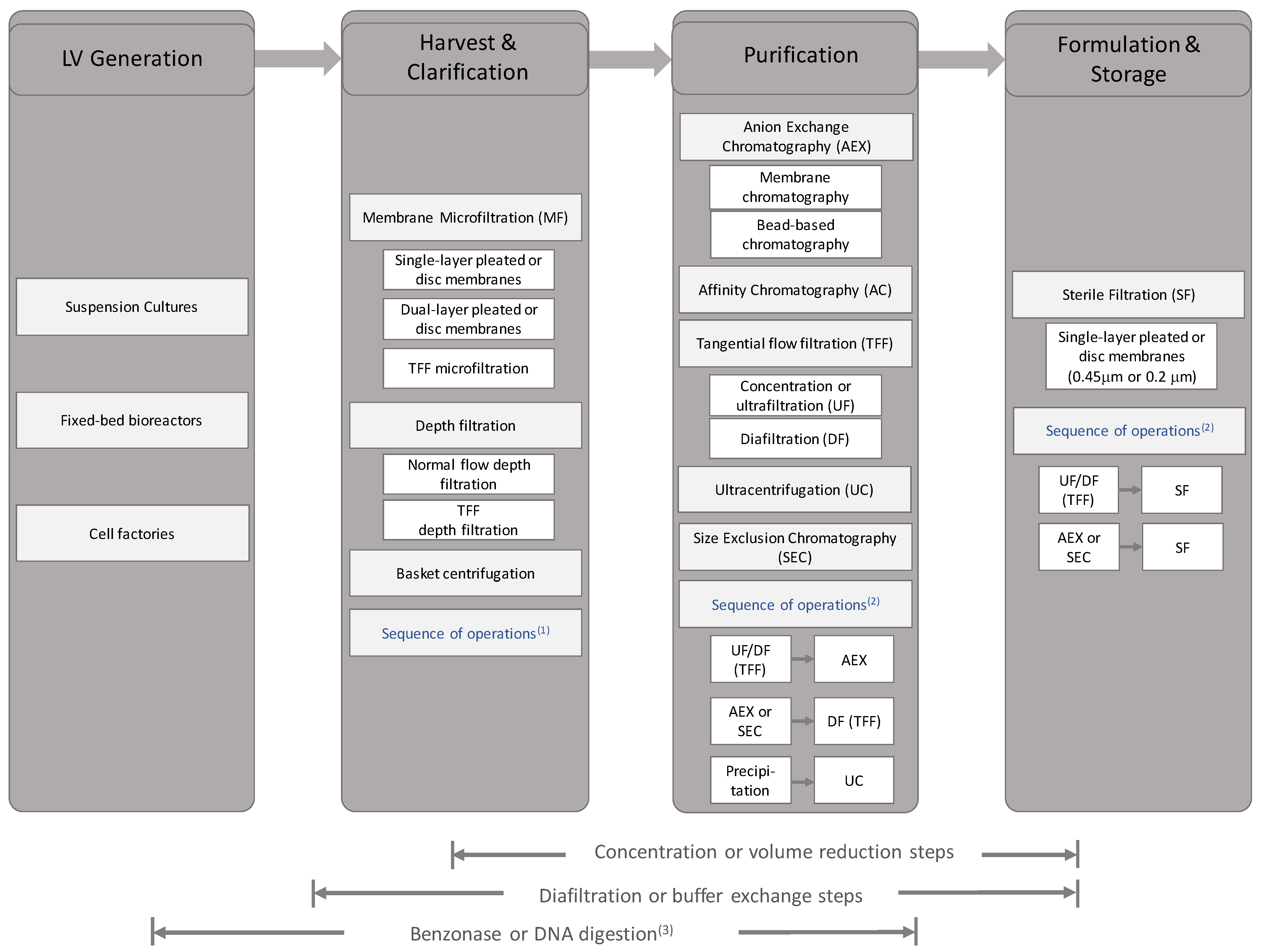Viruses 13 00268 g002