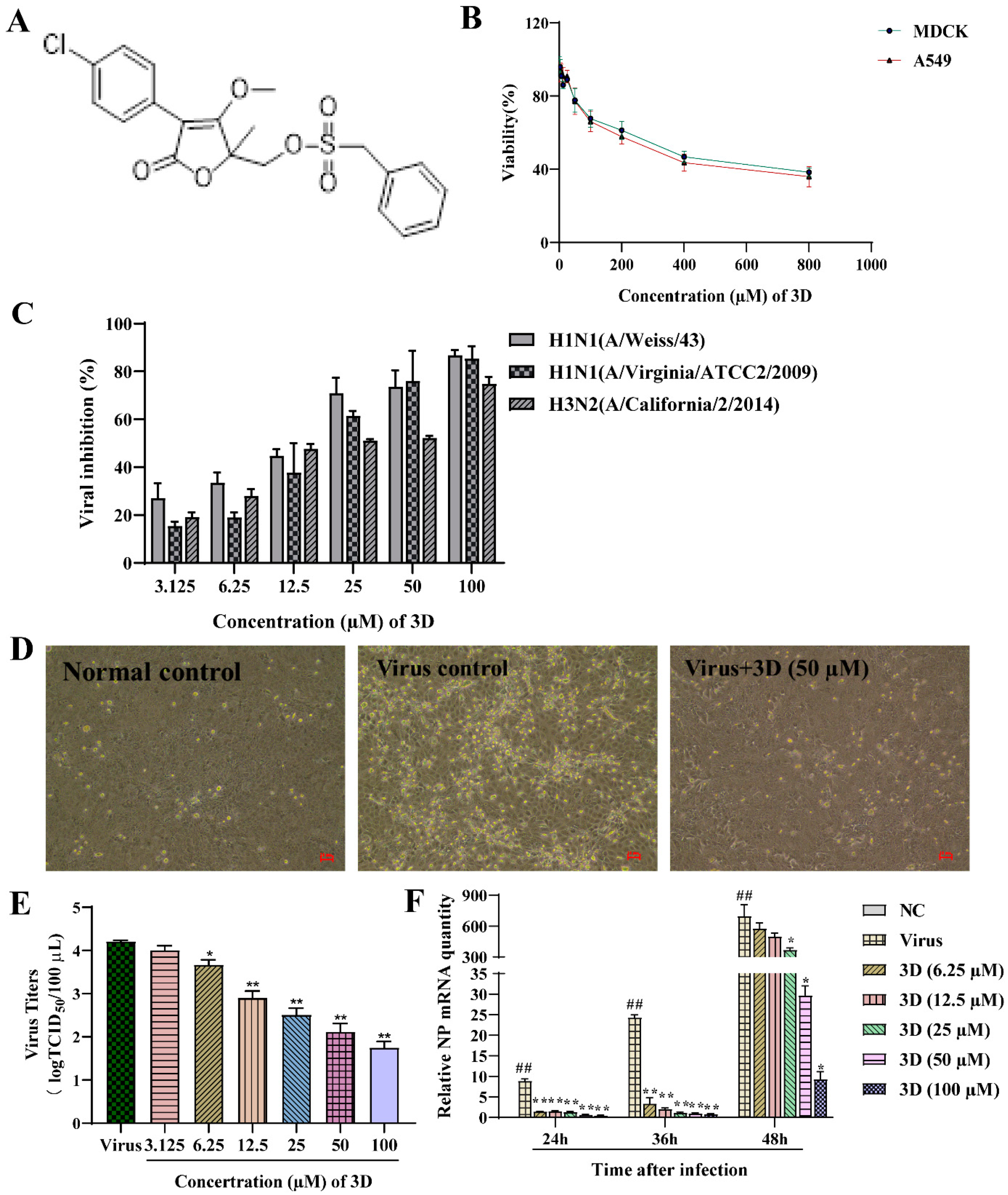 Viruses 13 00278 g002