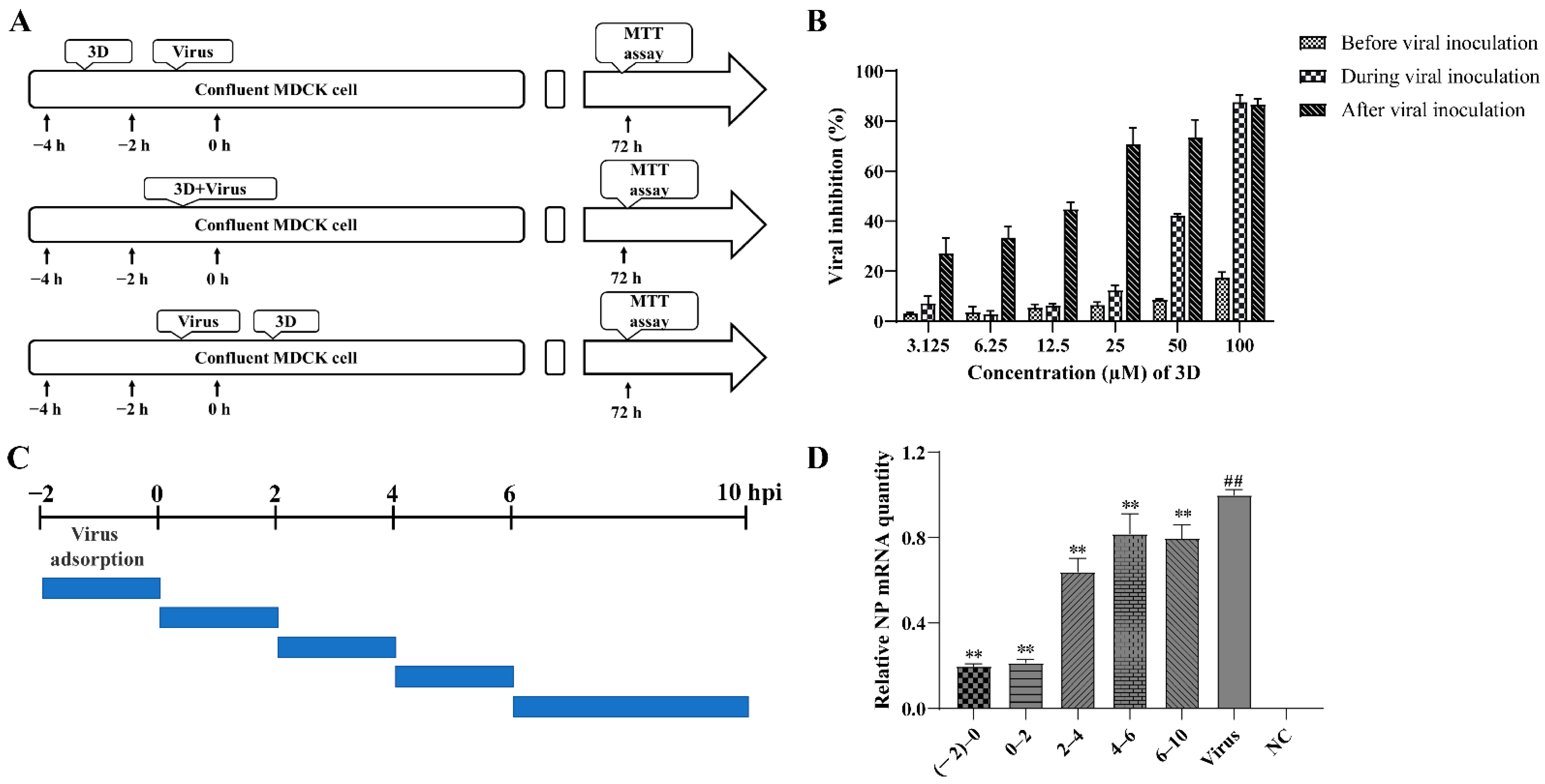 Viruses 13 00278 g003