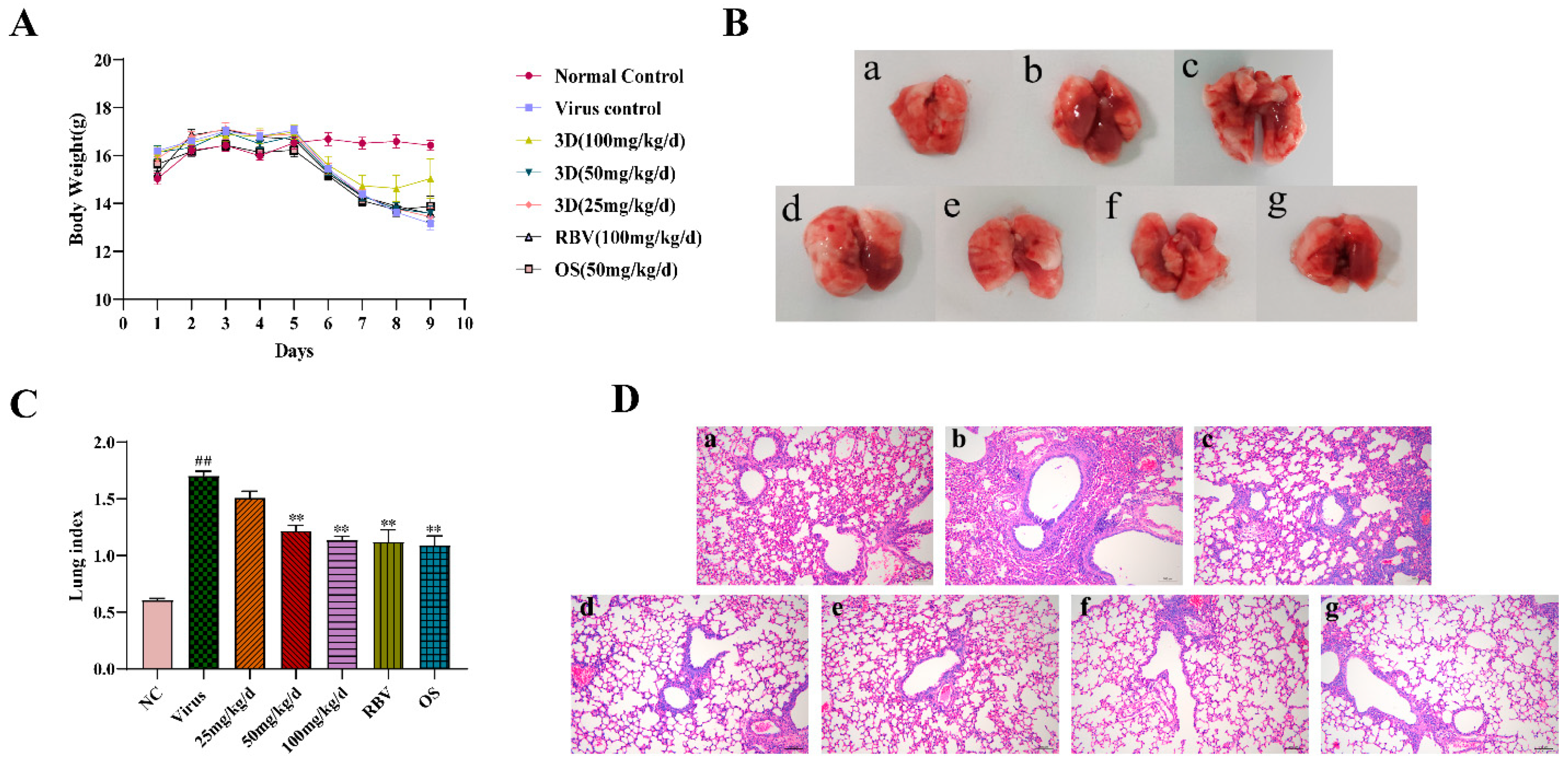 Viruses 13 00278 g006