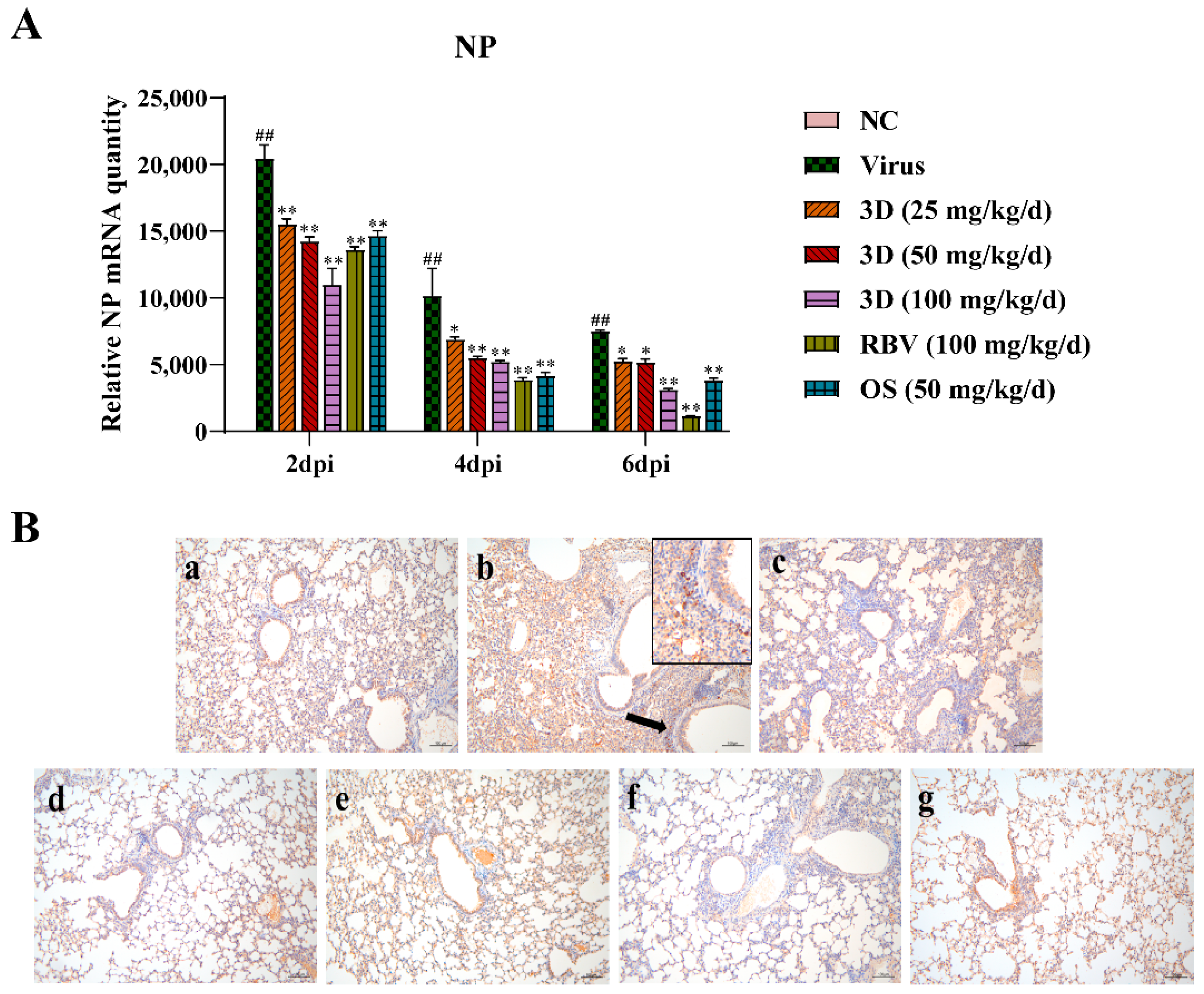 Viruses 13 00278 g007