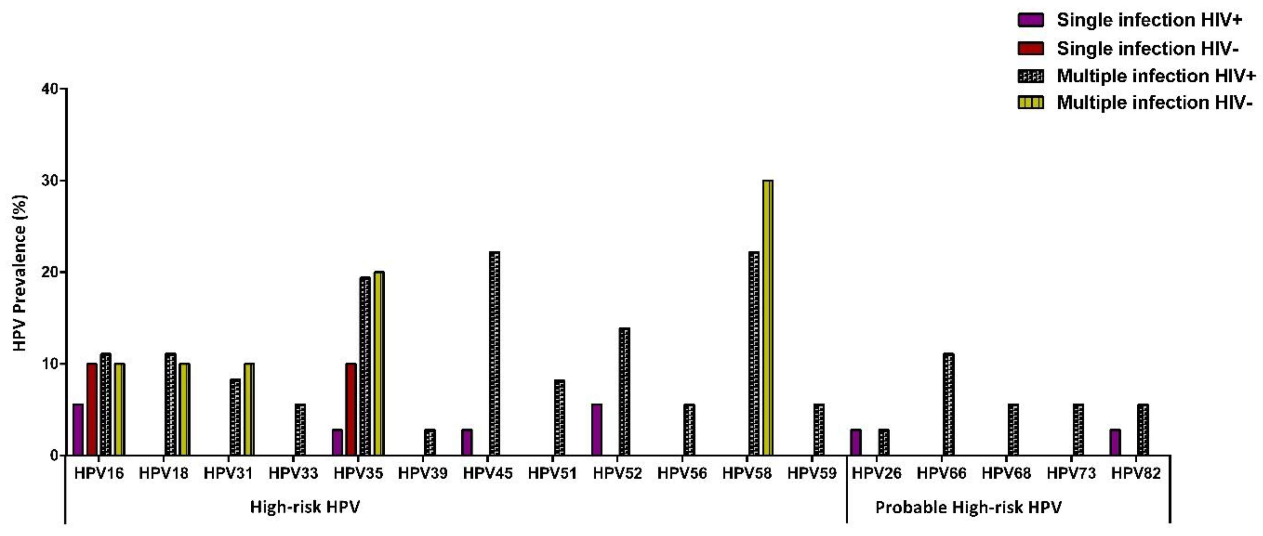 Viruses 13 00280 g003
