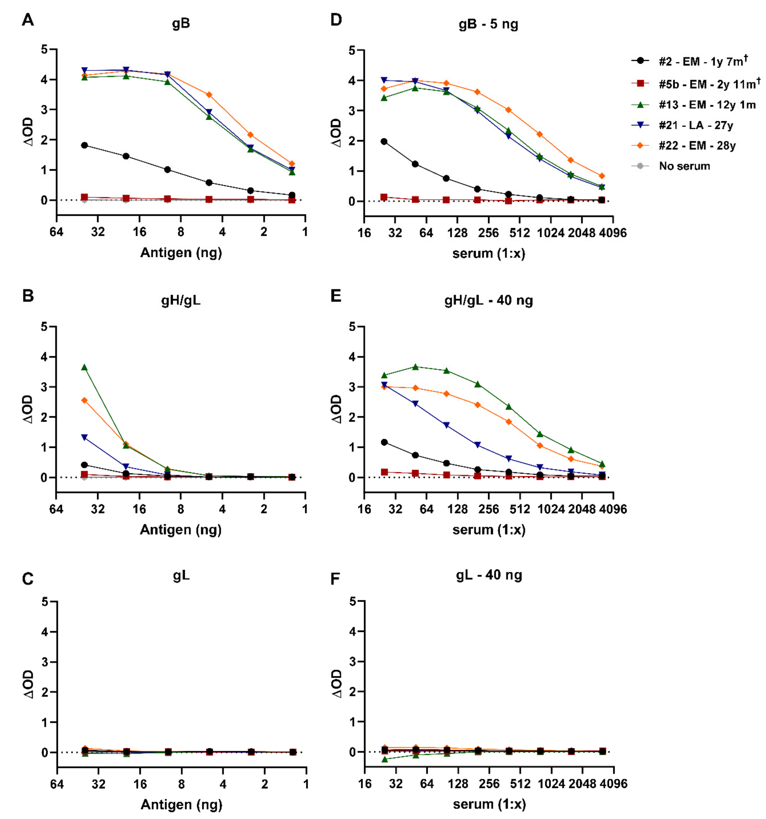 Viruses 13 00283 g002