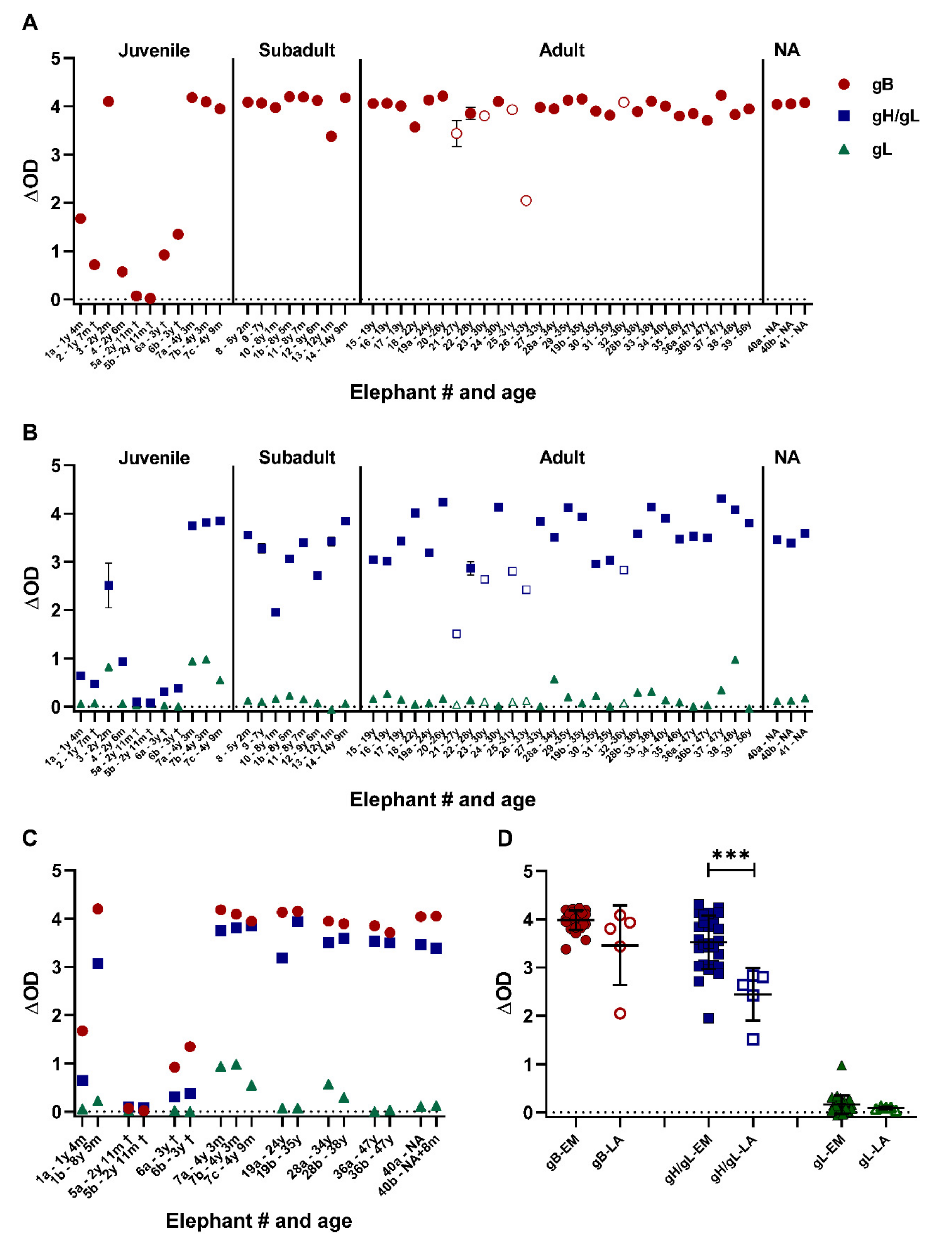 Viruses 13 00283 g003