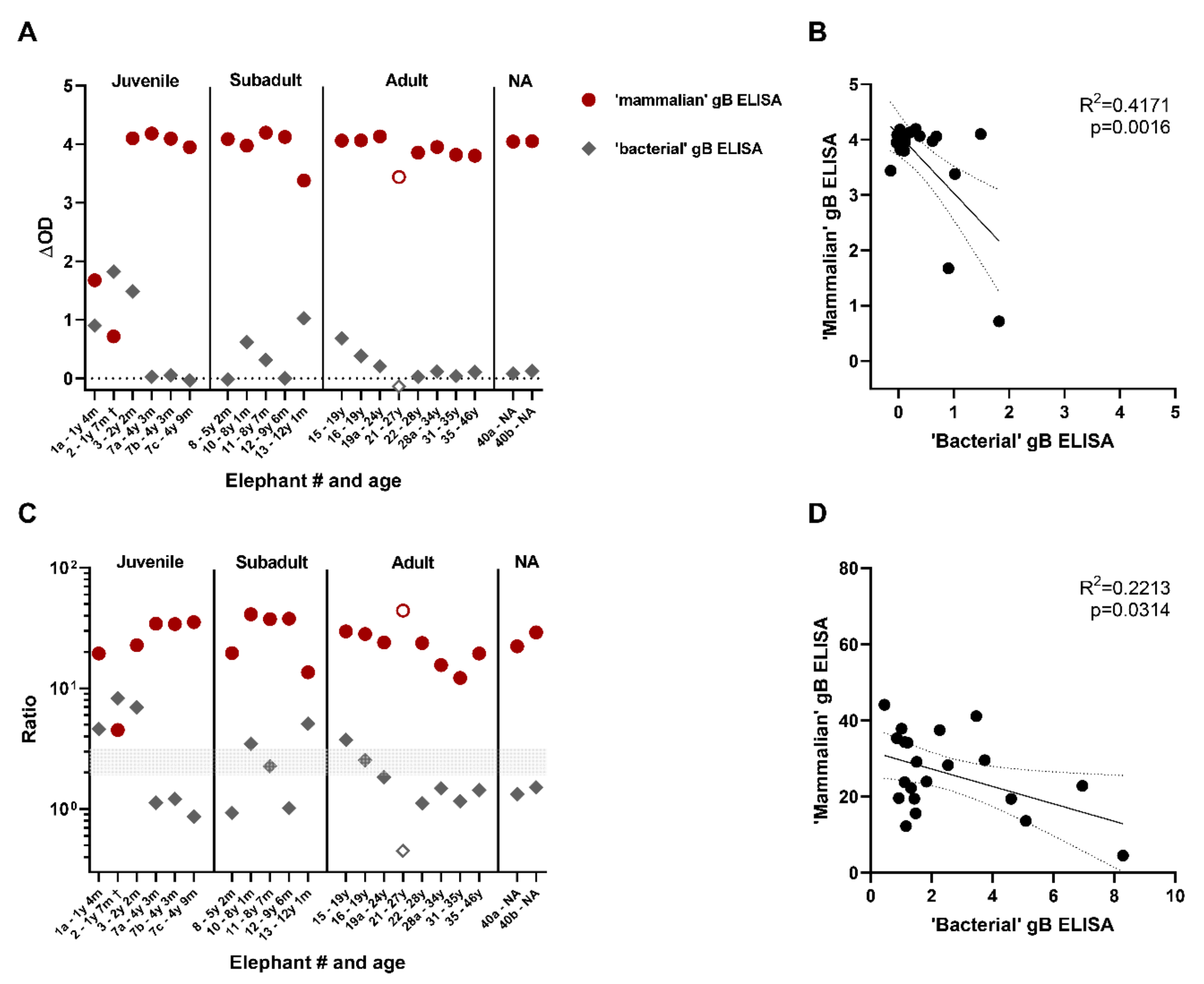Viruses 13 00283 g004