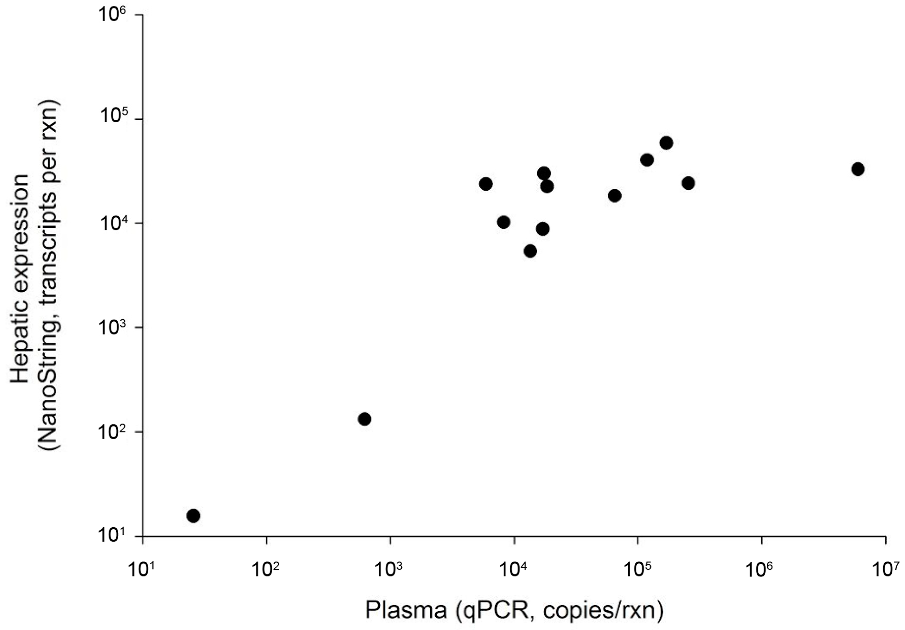 Viruses 13 00285 g002