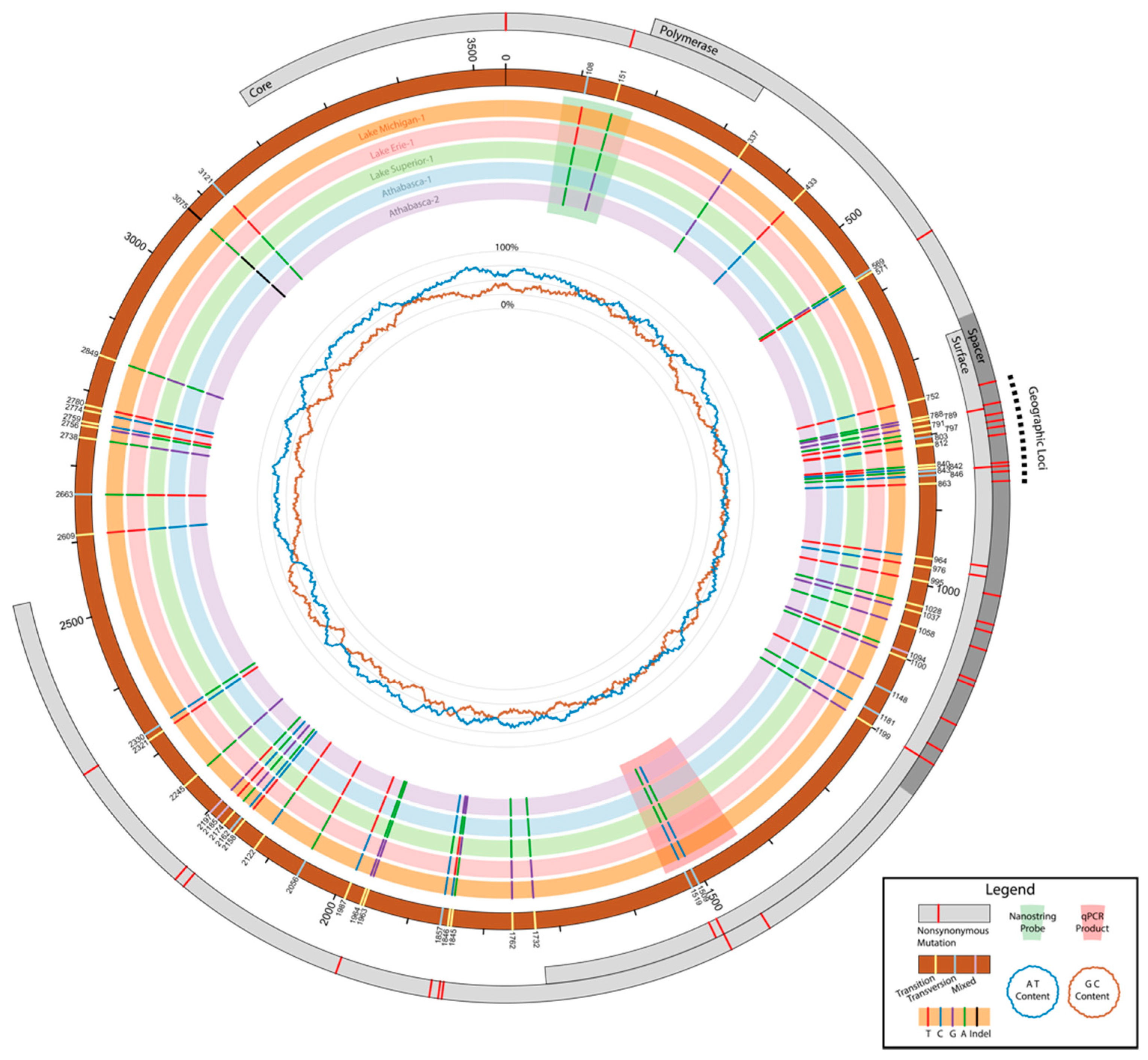 Viruses 13 00285 g005
