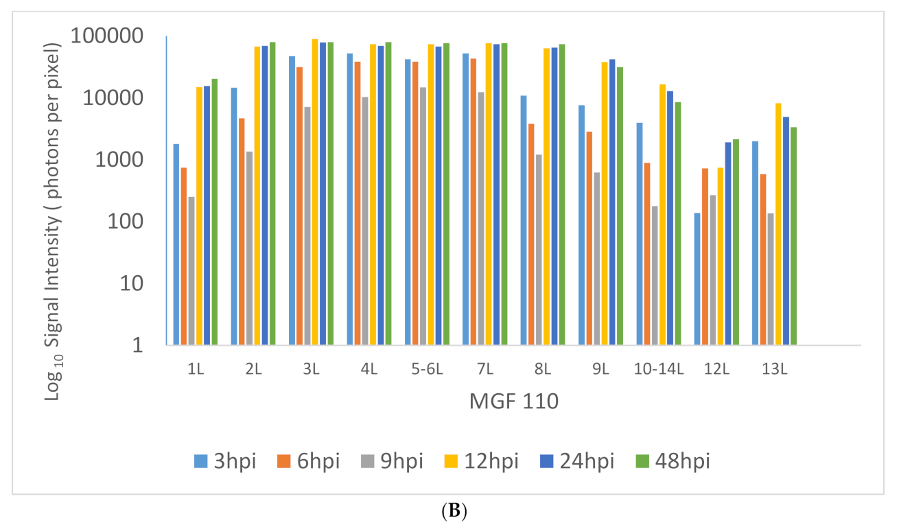 Viruses 13 00286 g001b Viruses 13 00286 g001b