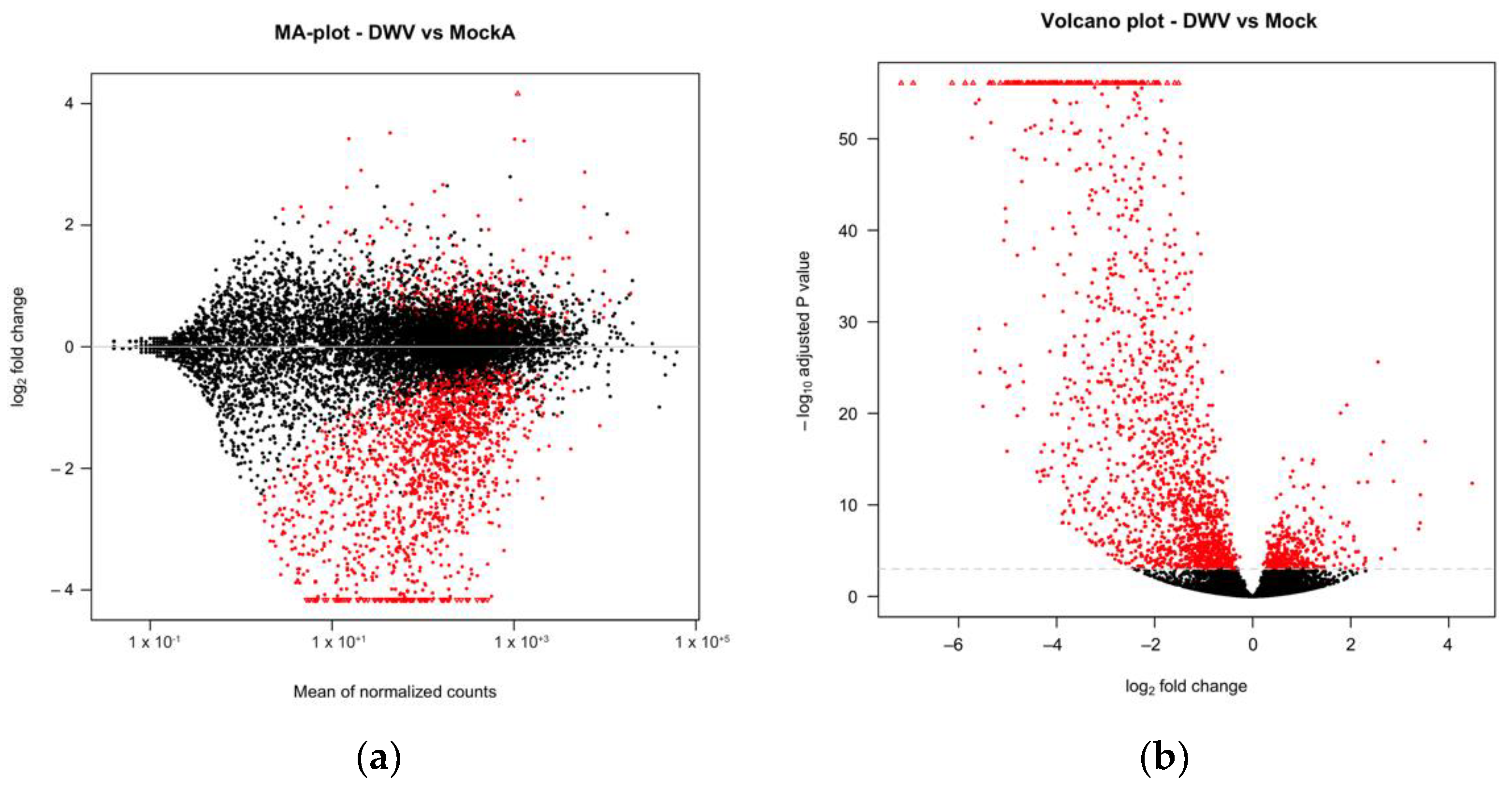 Viruses 13 00287 g002