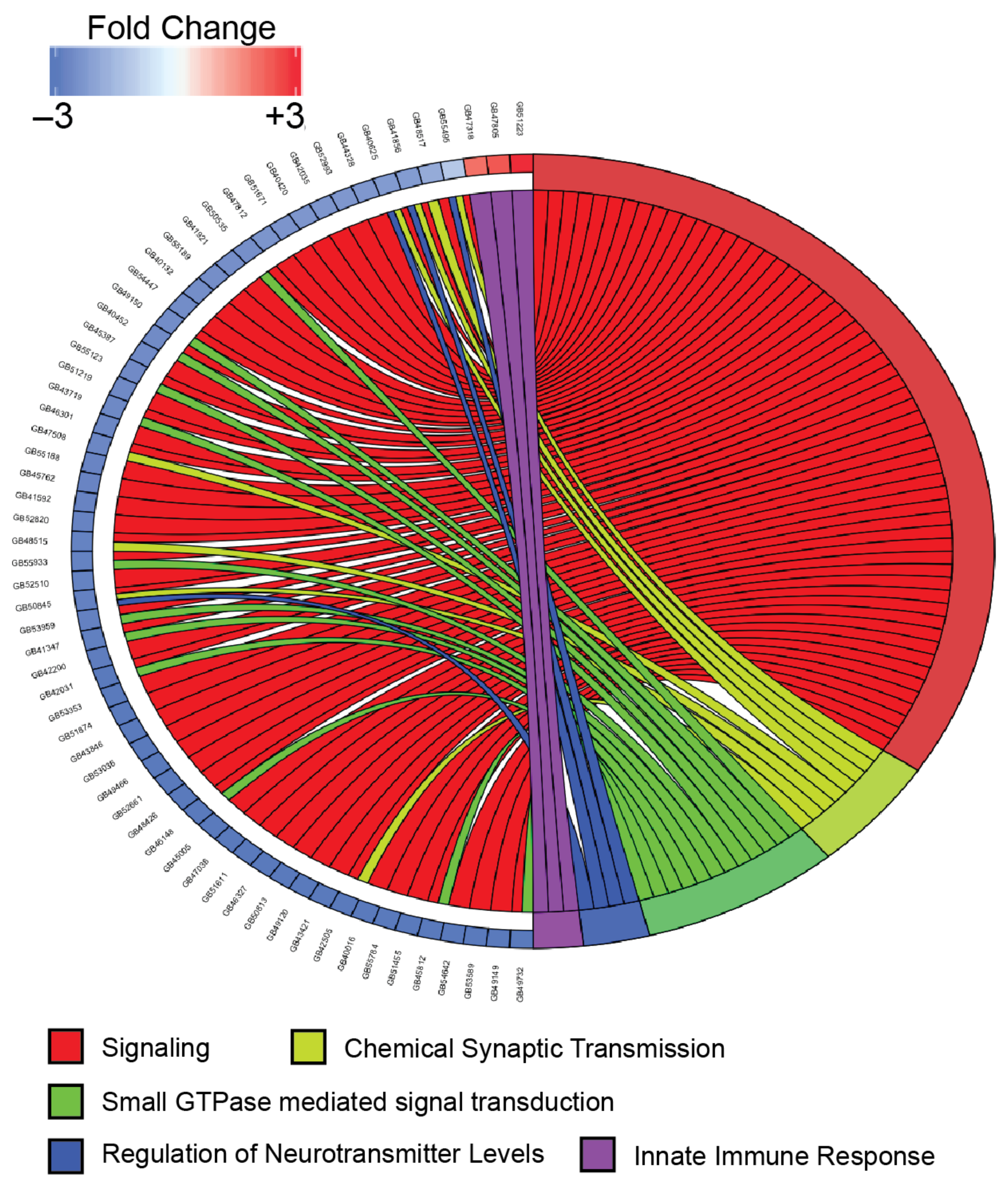 Viruses 13 00287 g004