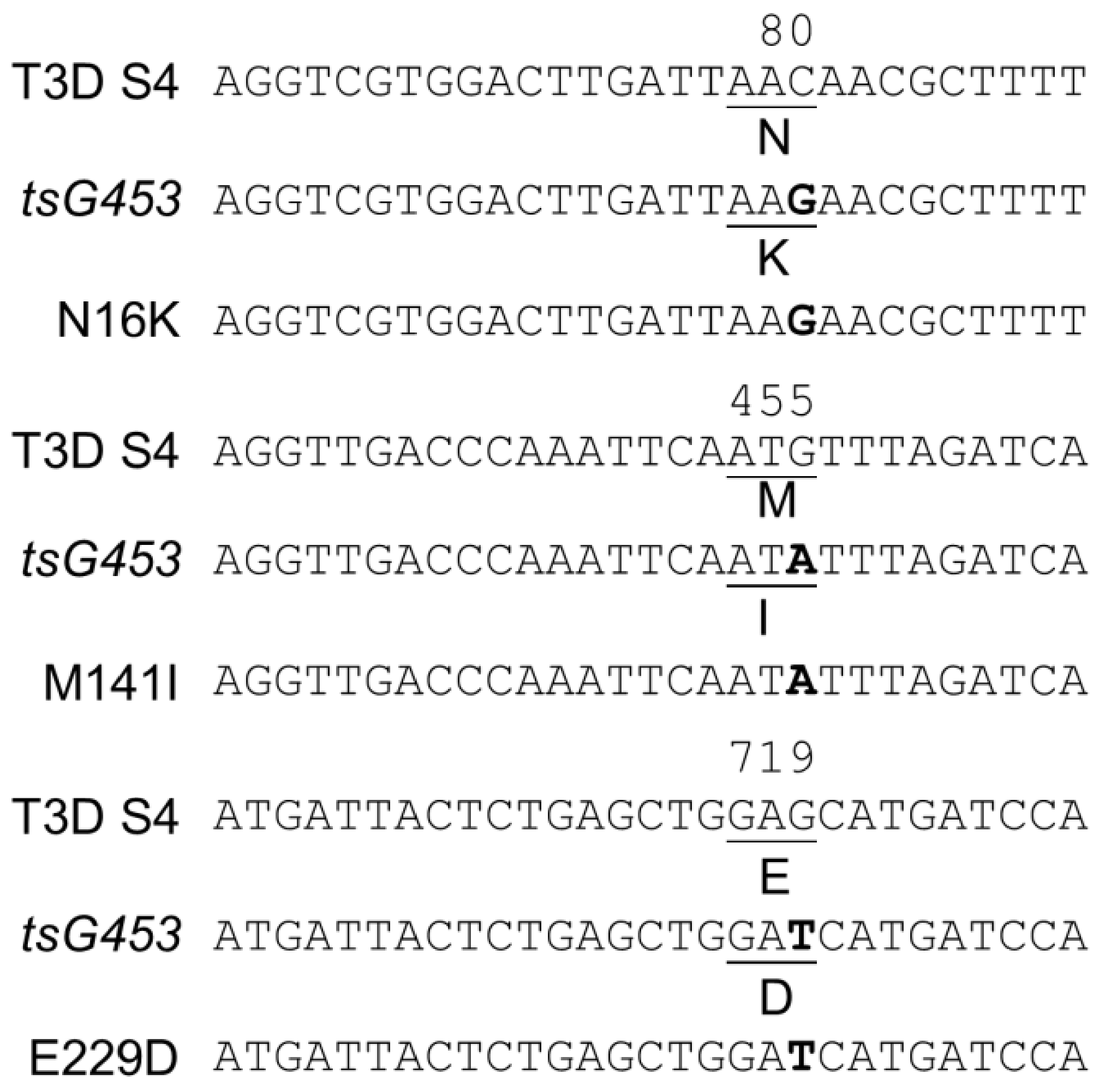 Viruses 13 00289 g002 Viruses 13 00289 g002