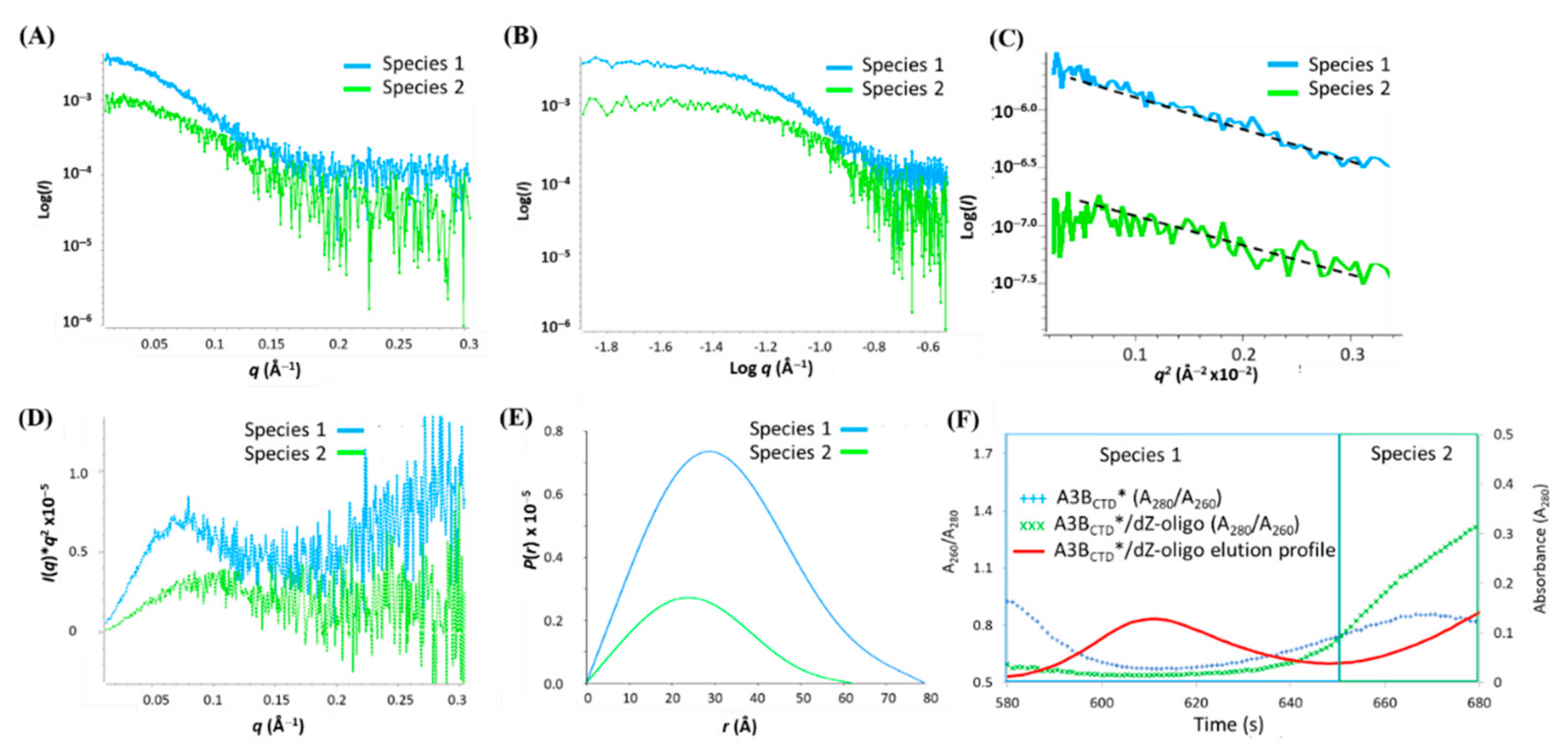 Viruses 13 00290 g013 Viruses 13 00290 g013
