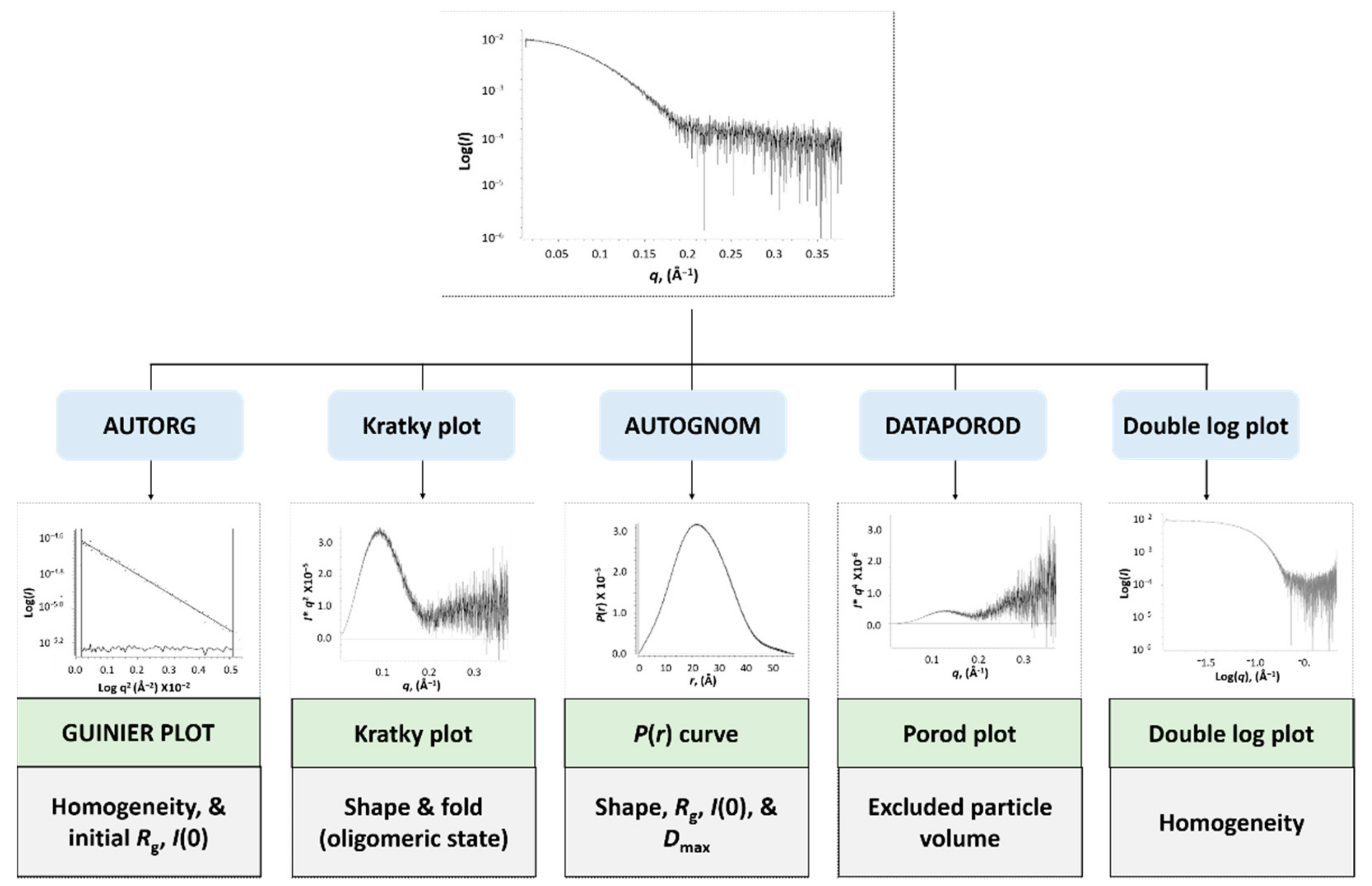 Viruses 13 00290 sch003 Viruses 13 00290 sch003