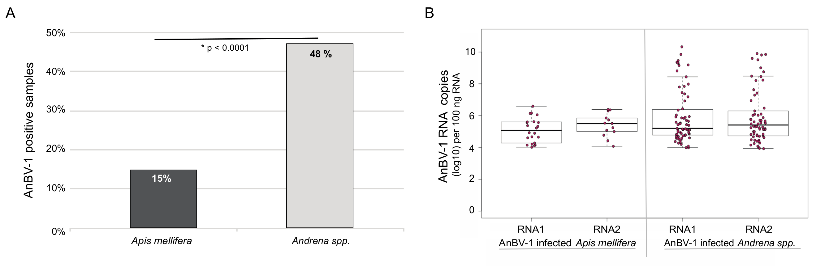 Viruses 13 00291 g004