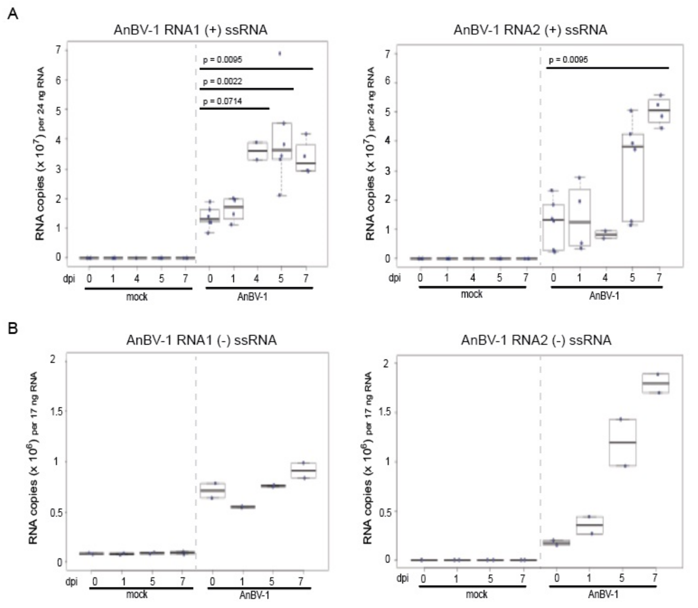 Viruses 13 00291 g005