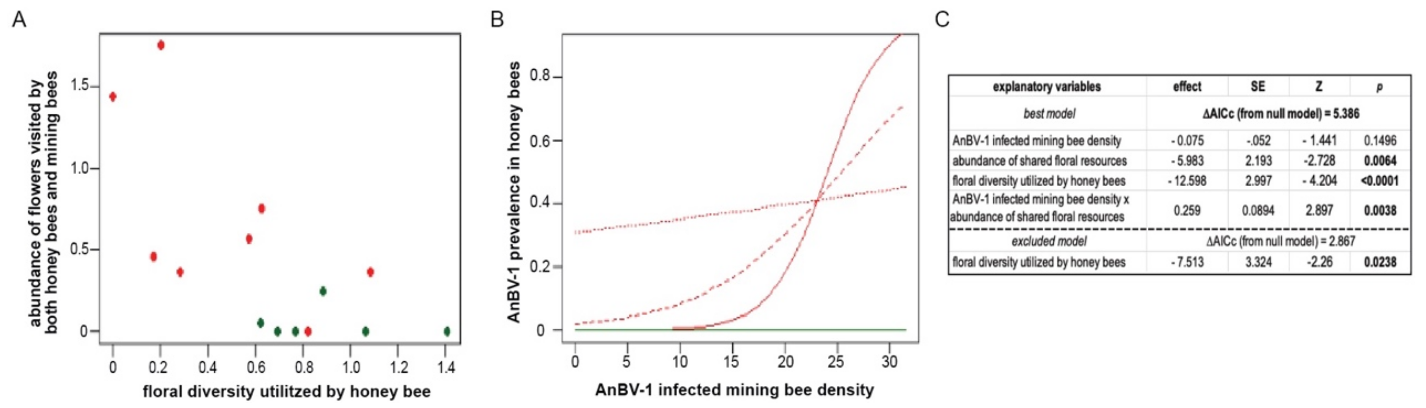 Viruses 13 00291 g006