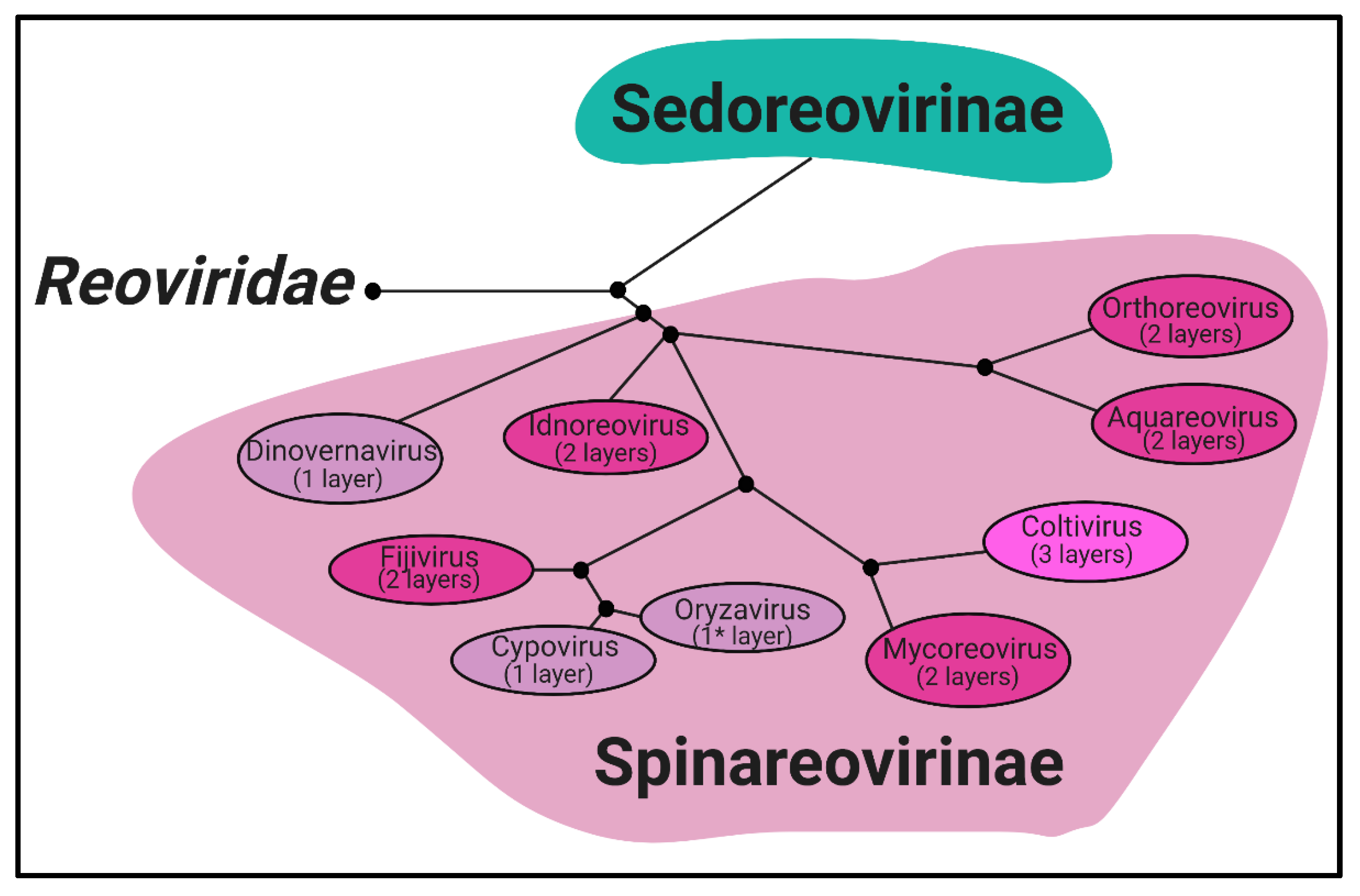 Viruses 13 00294 g001