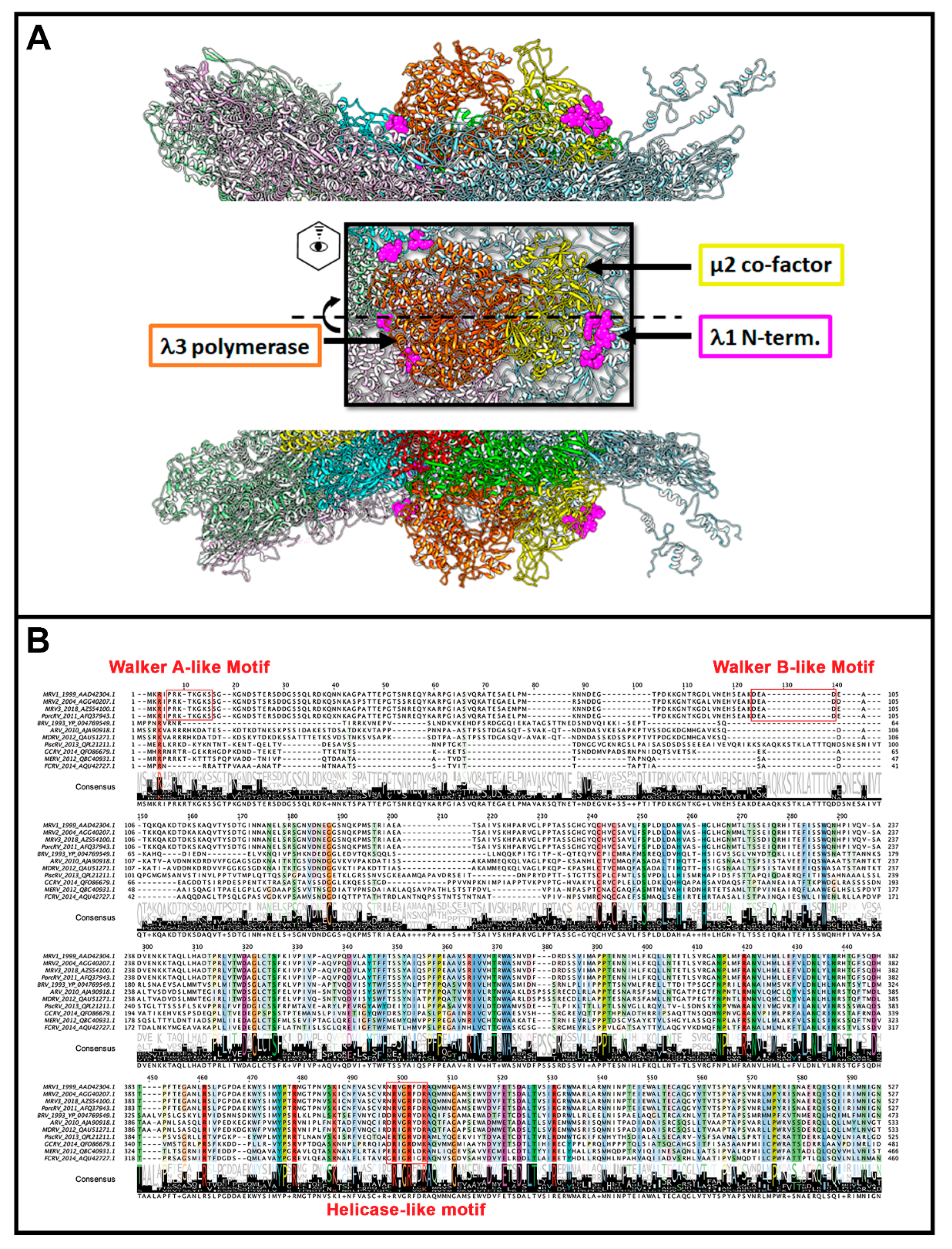 Viruses 13 00294 g006