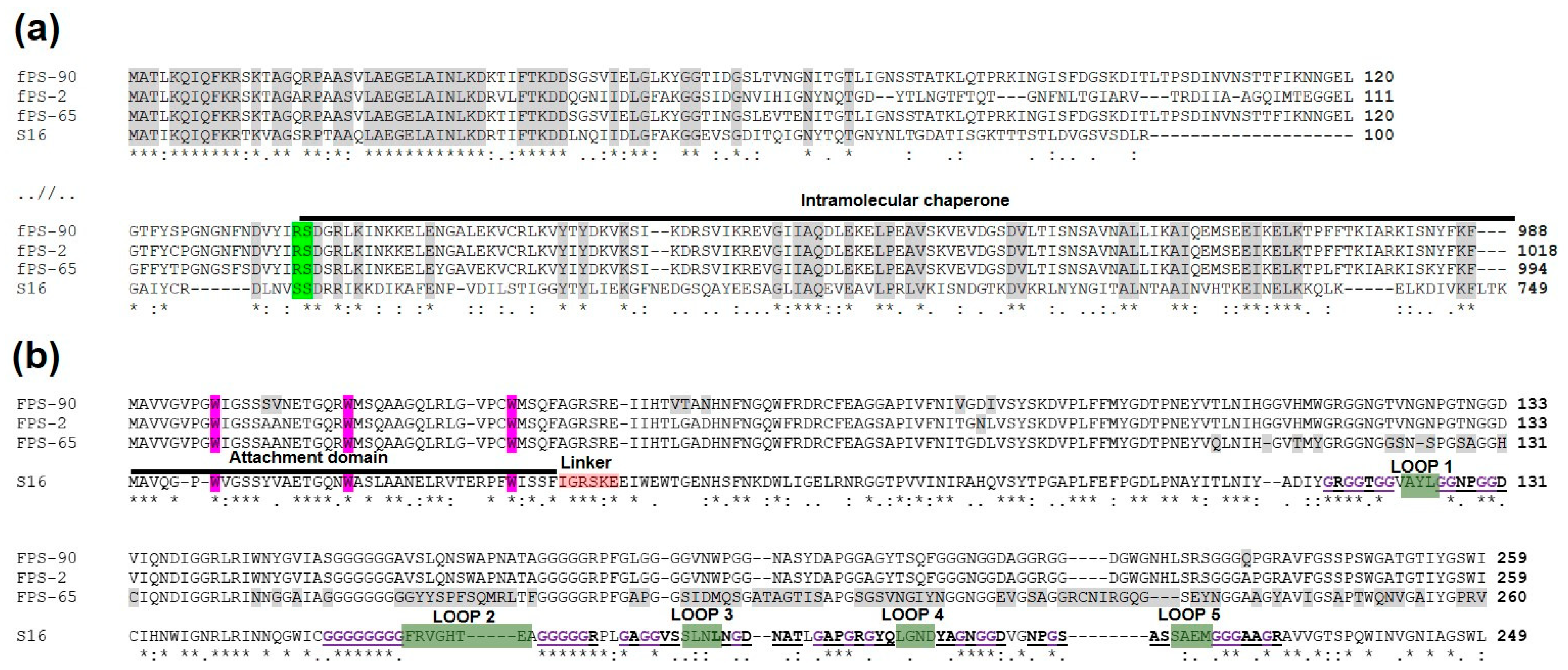 Viruses 13 00296 g007 Viruses 13 00296 g007